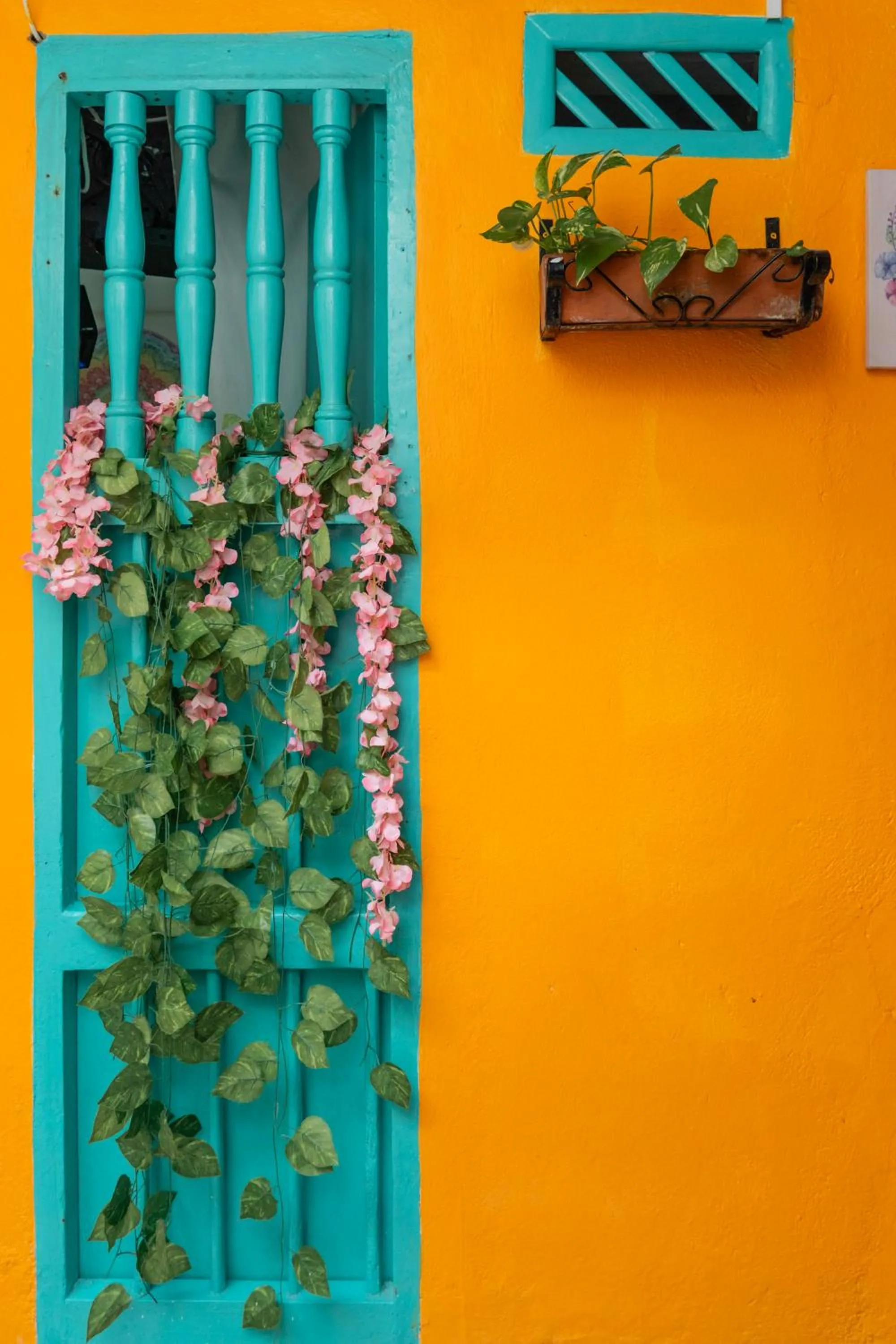 Garden view in Casa Renacer