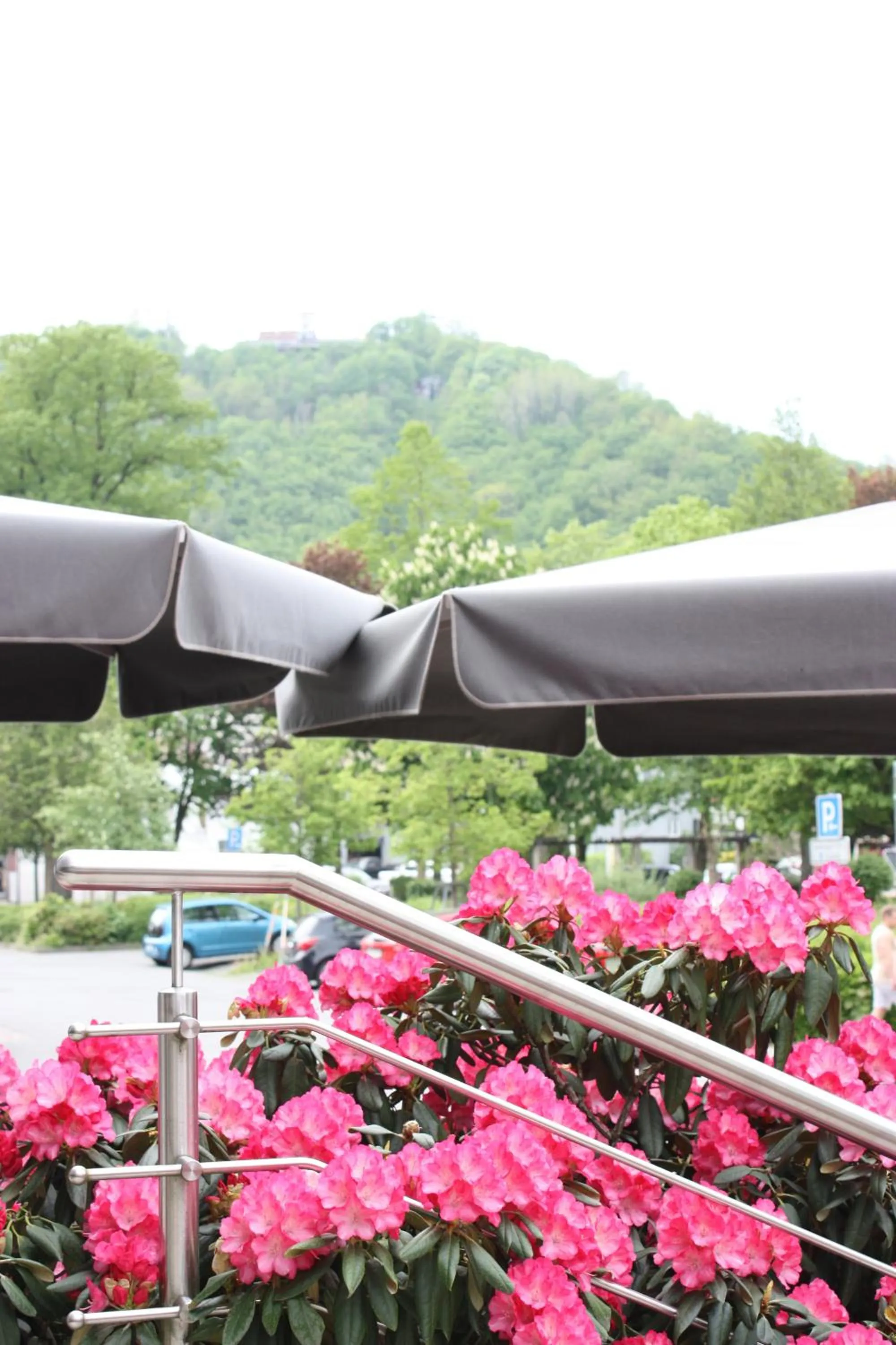 Property building in Hotel am Kurpark