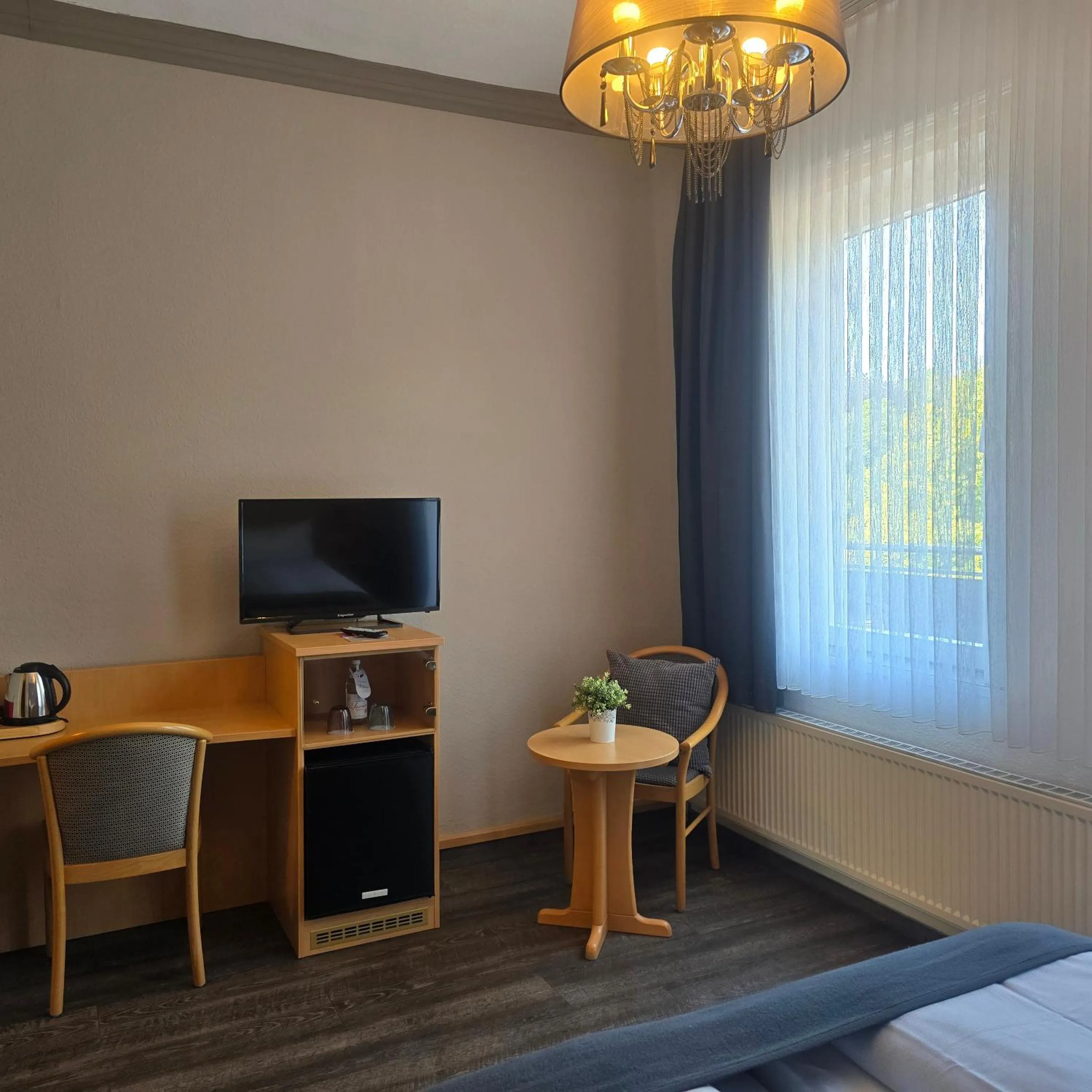 TV and multimedia in Hotel am Kurpark