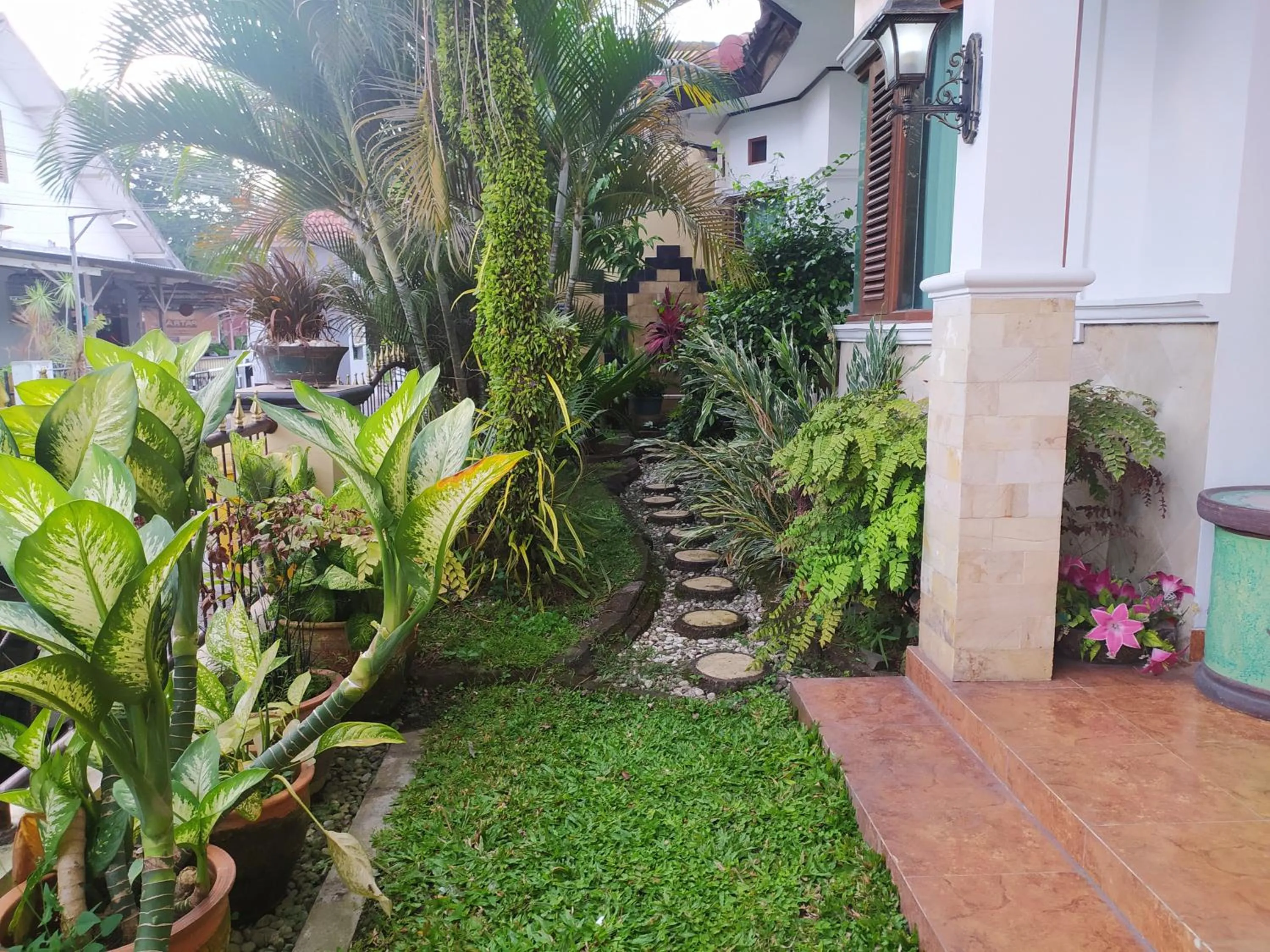 Garden in House of Ken