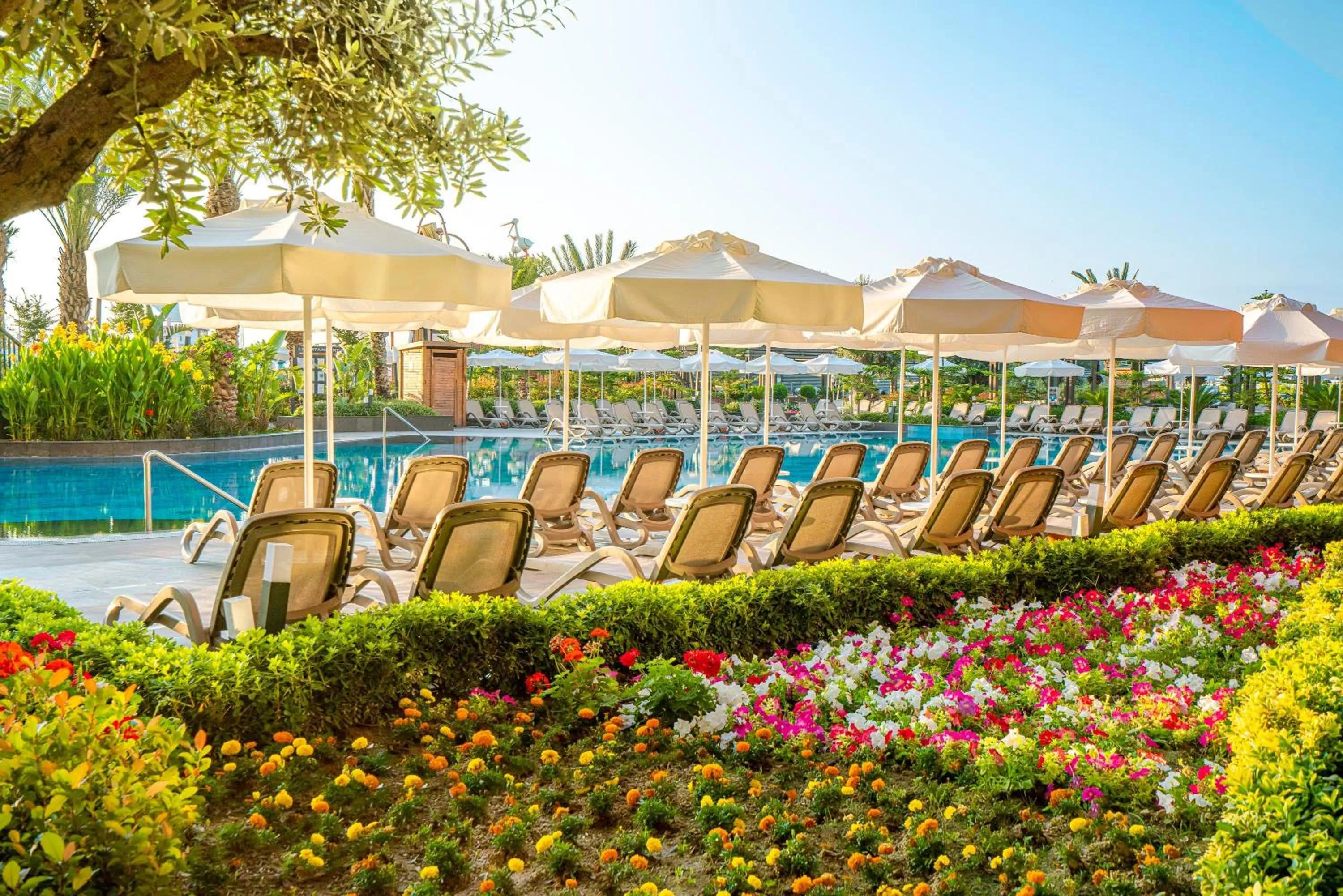 Garden in Calyptus Kirman Premium - Ultra All Inclusive