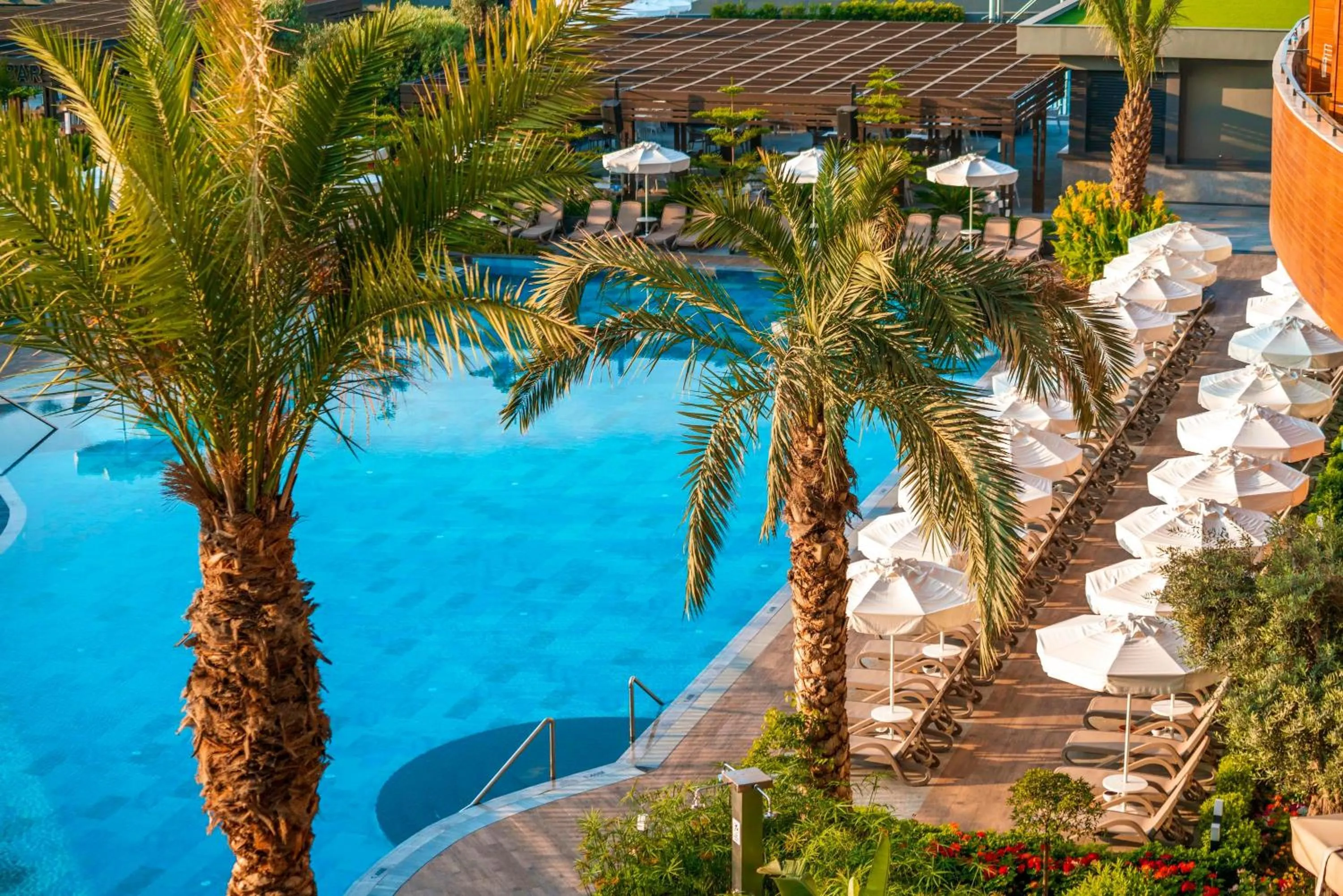 Swimming pool in Calyptus Kirman Premium - Ultra All Inclusive