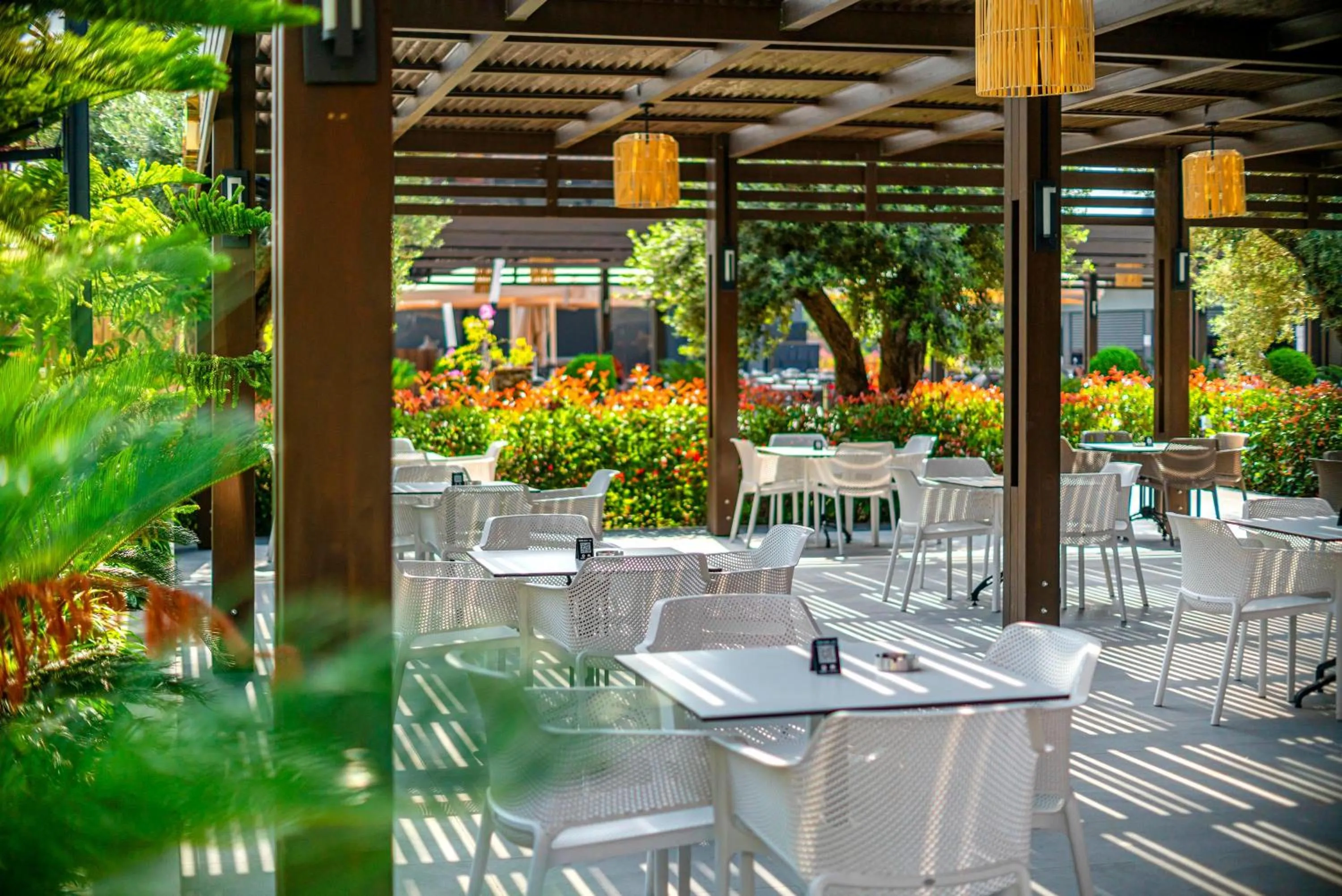 Restaurant/places to eat in Calyptus Kirman Premium - Ultra All Inclusive