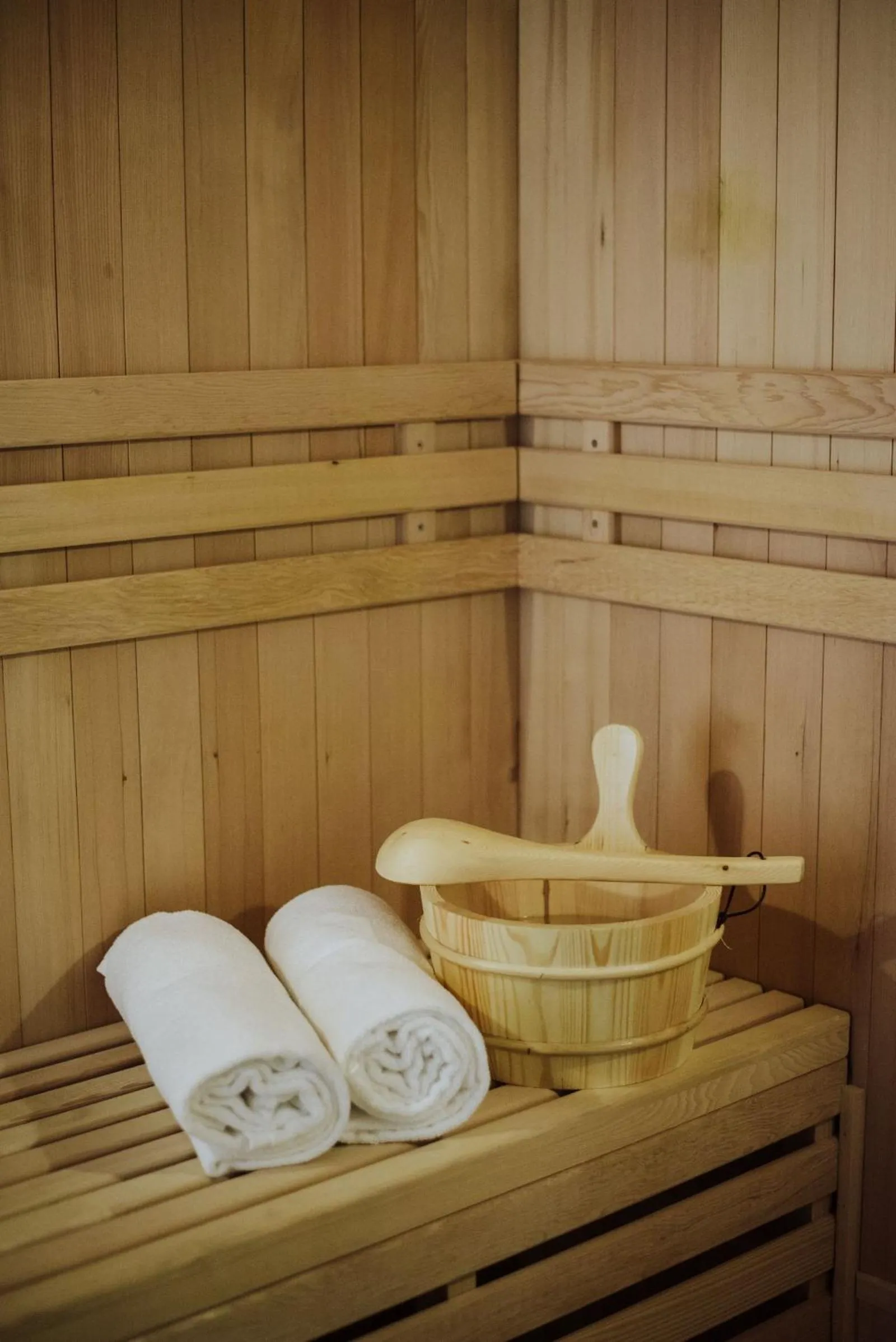 Sauna in Willa 74 Wisła