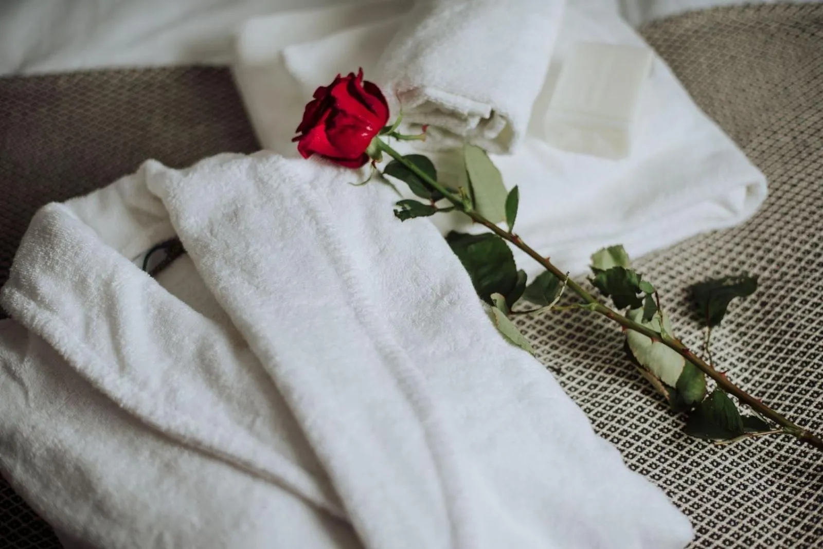 Sauna, Bed in Willa 74 Wisła