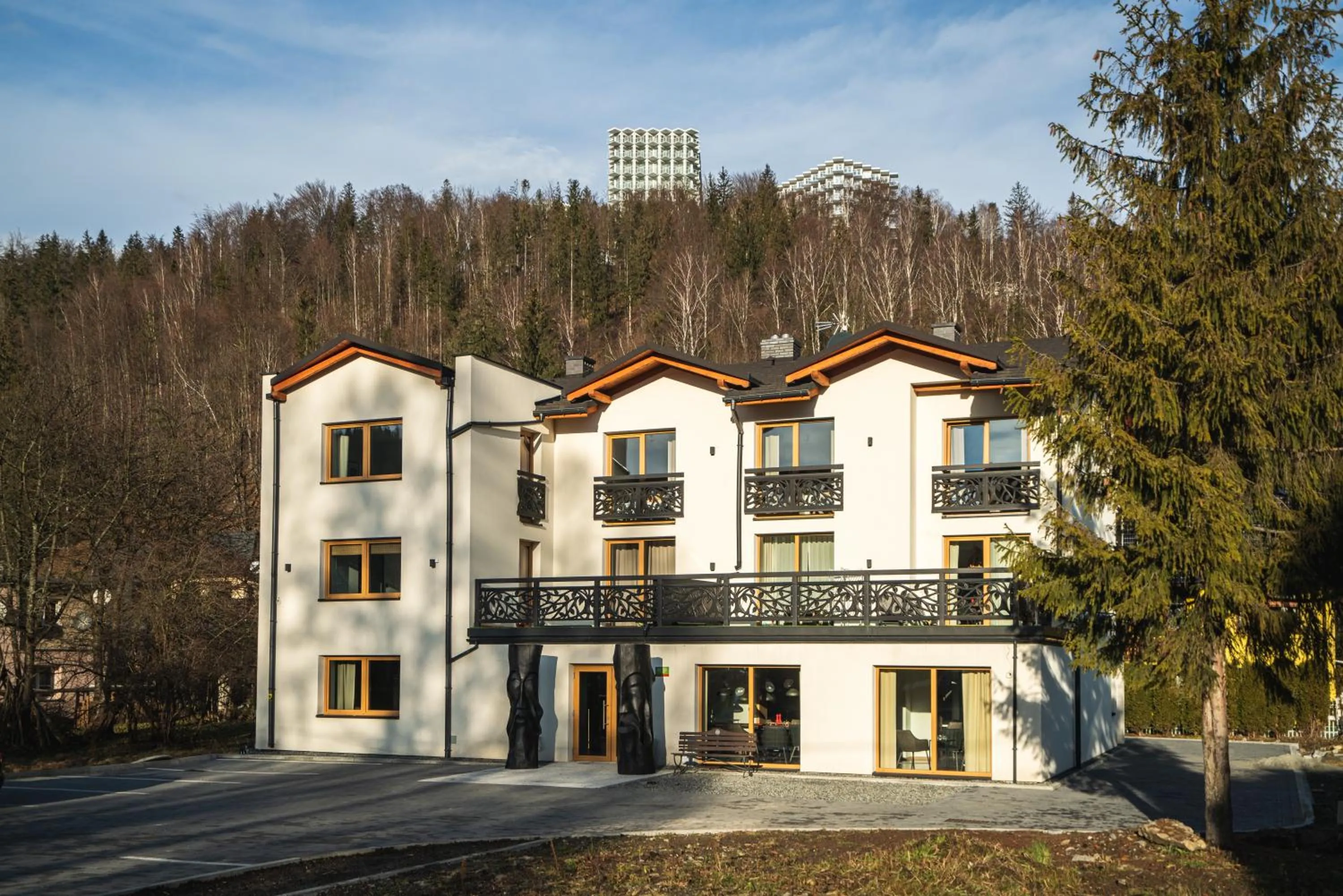 Property building in Willa 74 Wisła