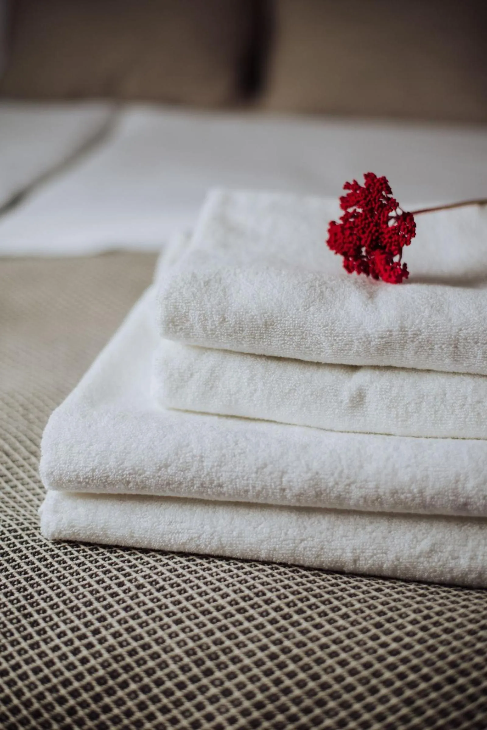 Bed in Willa 74 Wisła