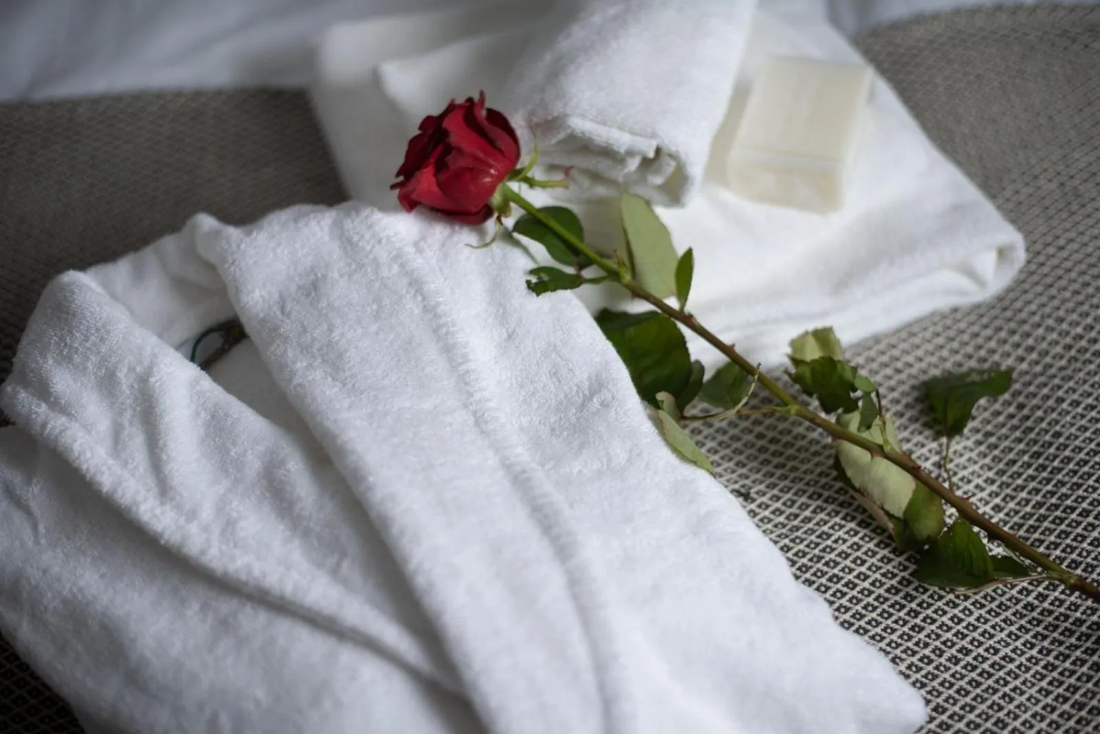 Sauna in Willa 74 Wisła