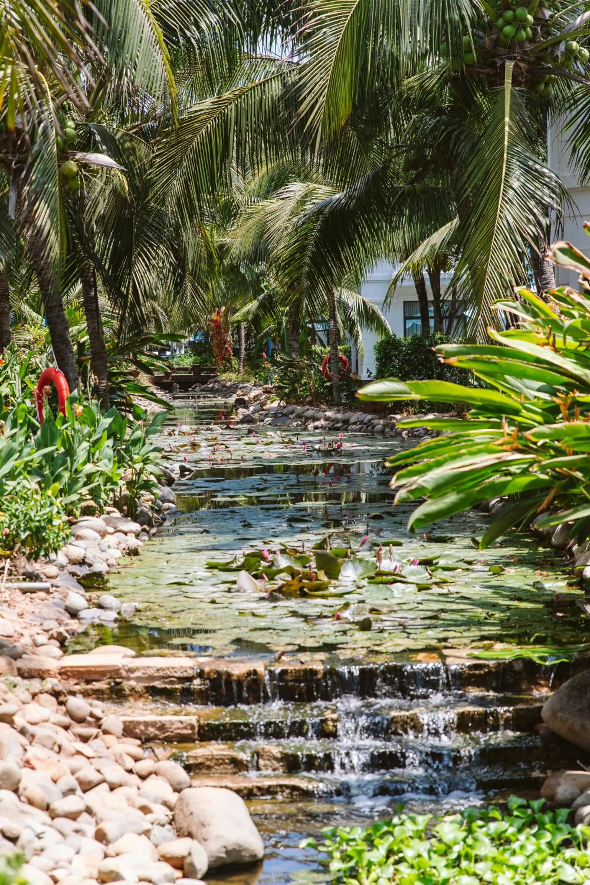 Garden in Le Palmier Ho Tram Resort - Beachfront with Private Beach