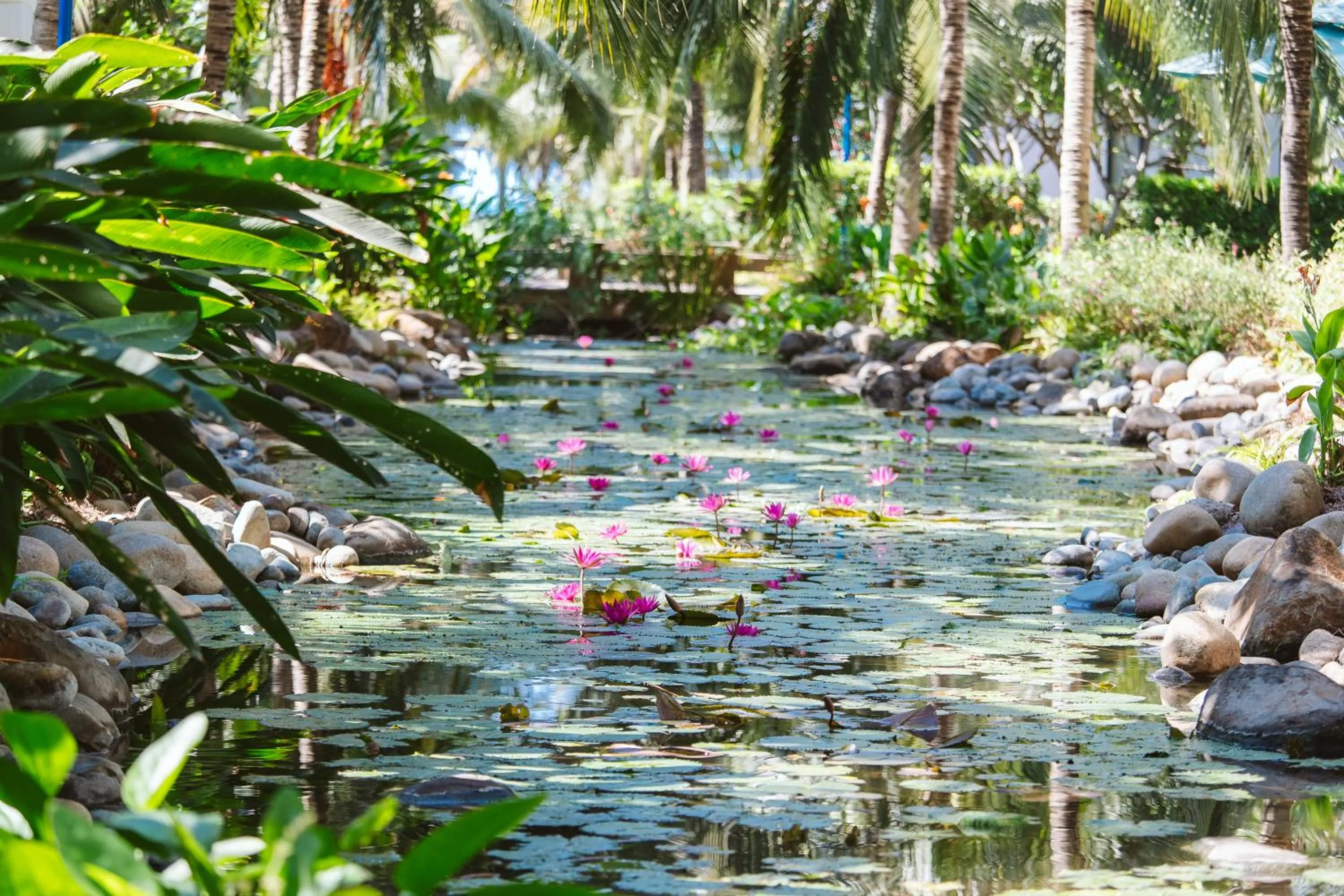 Garden in Le Palmier Ho Tram Resort - Beachfront with Private Beach