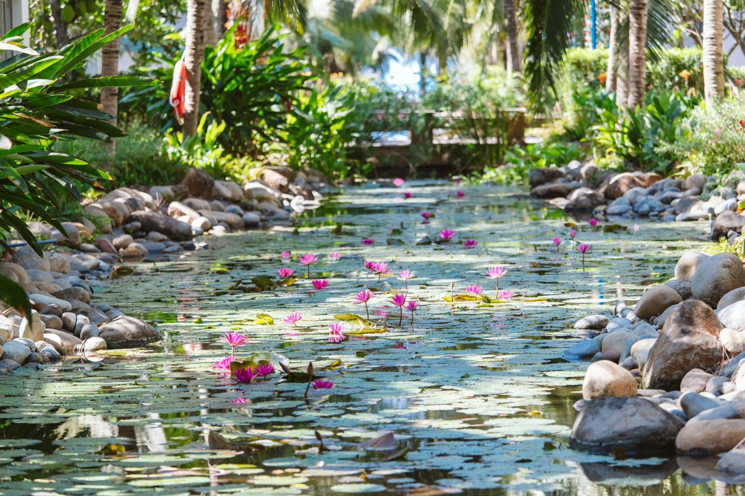 Garden in Le Palmier Ho Tram Resort - Beachfront with Private Beach