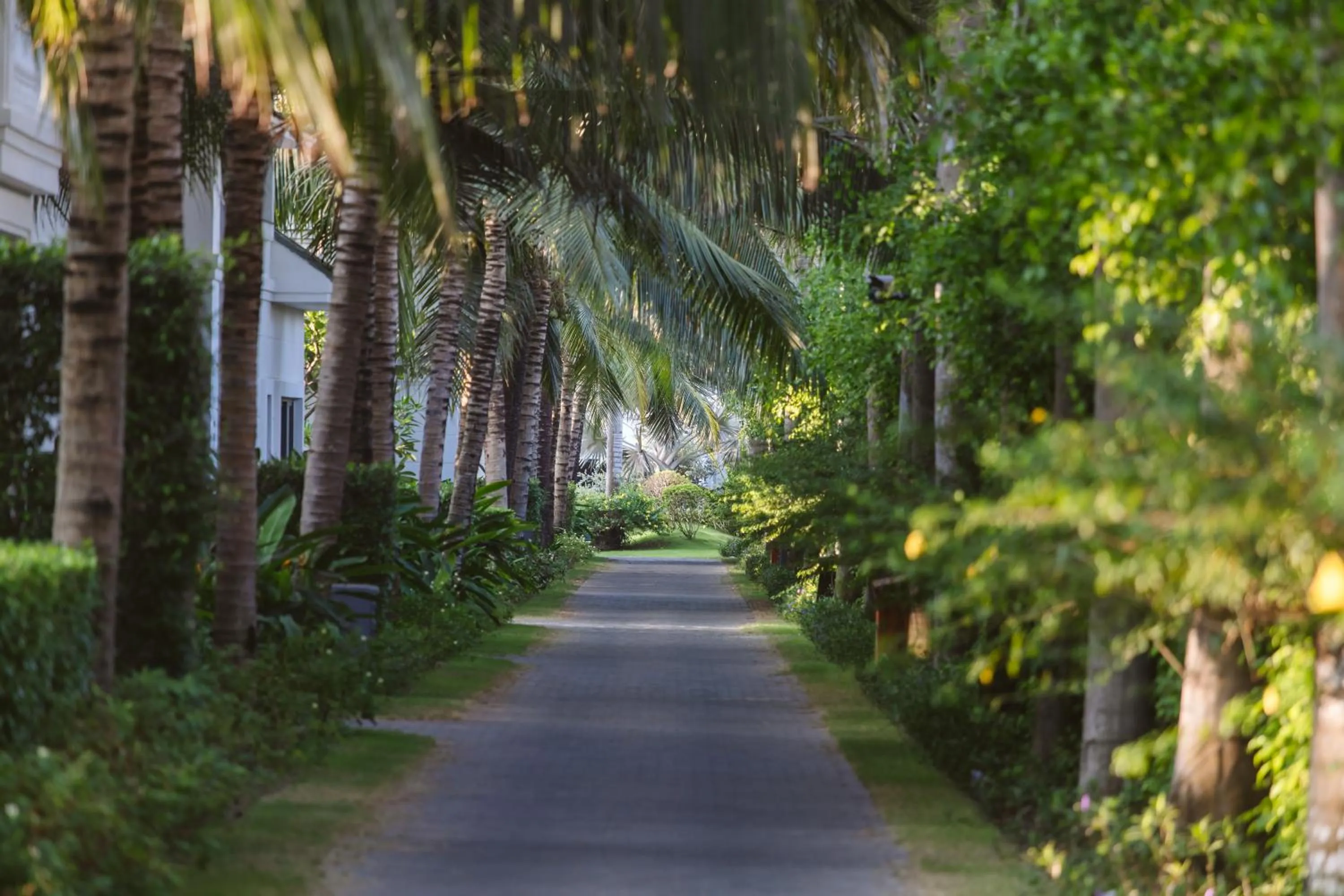 Garden in Le Palmier Ho Tram Resort - Beachfront with Private Beach