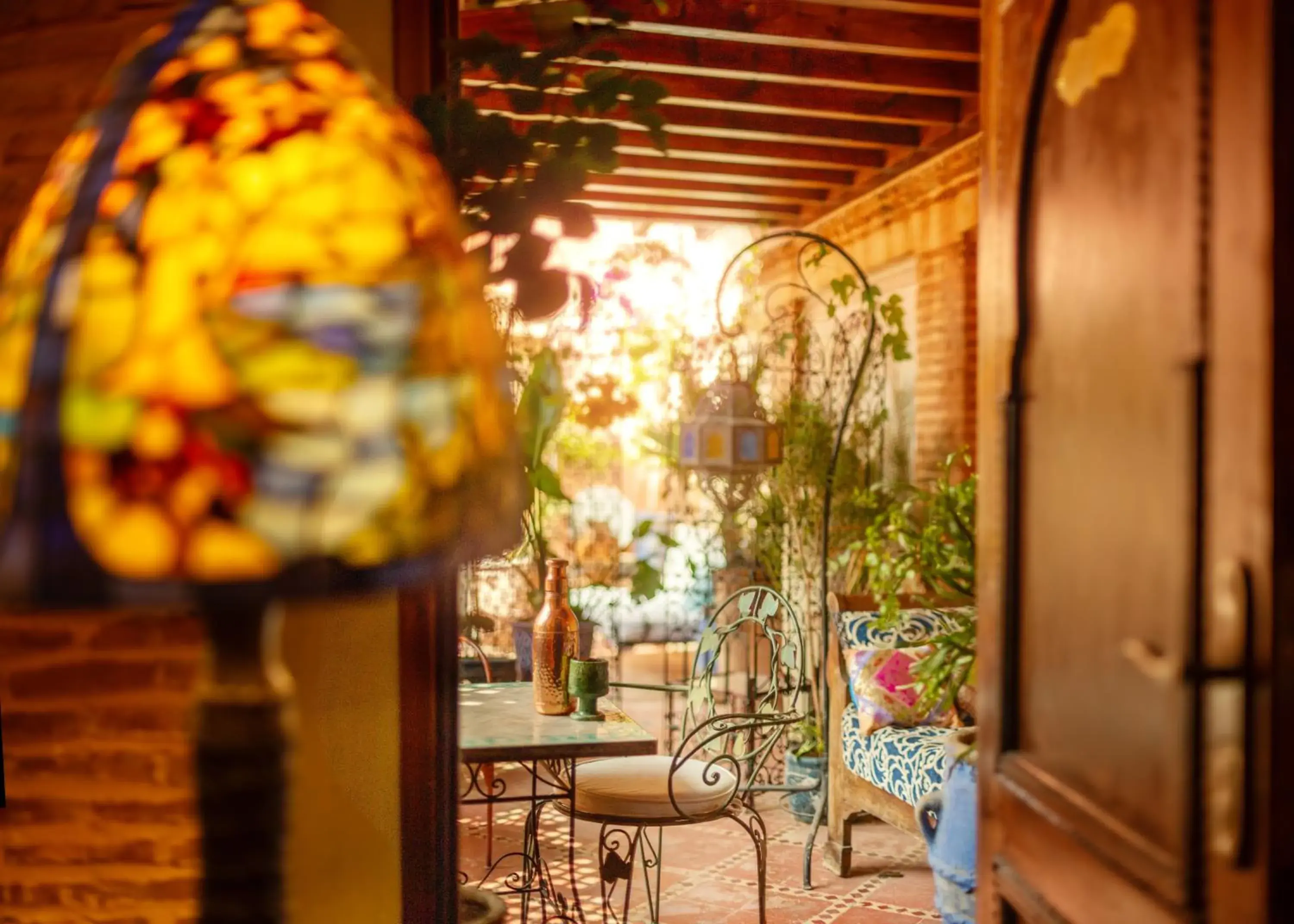 Garden in Riad Persephone Garden in Riad Persephone