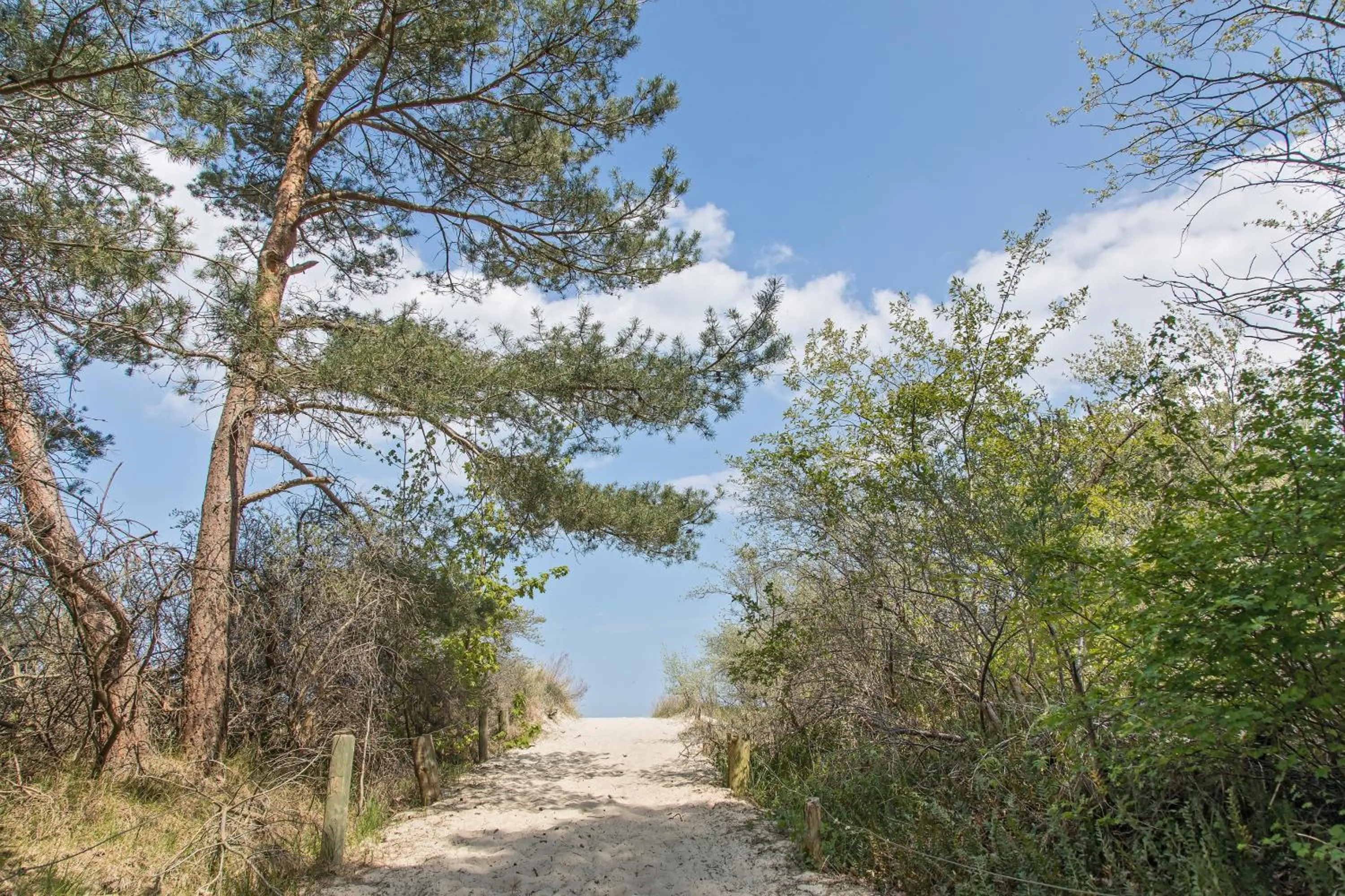 Natural landscape in Upstalsboom Residenzen Trassenheide