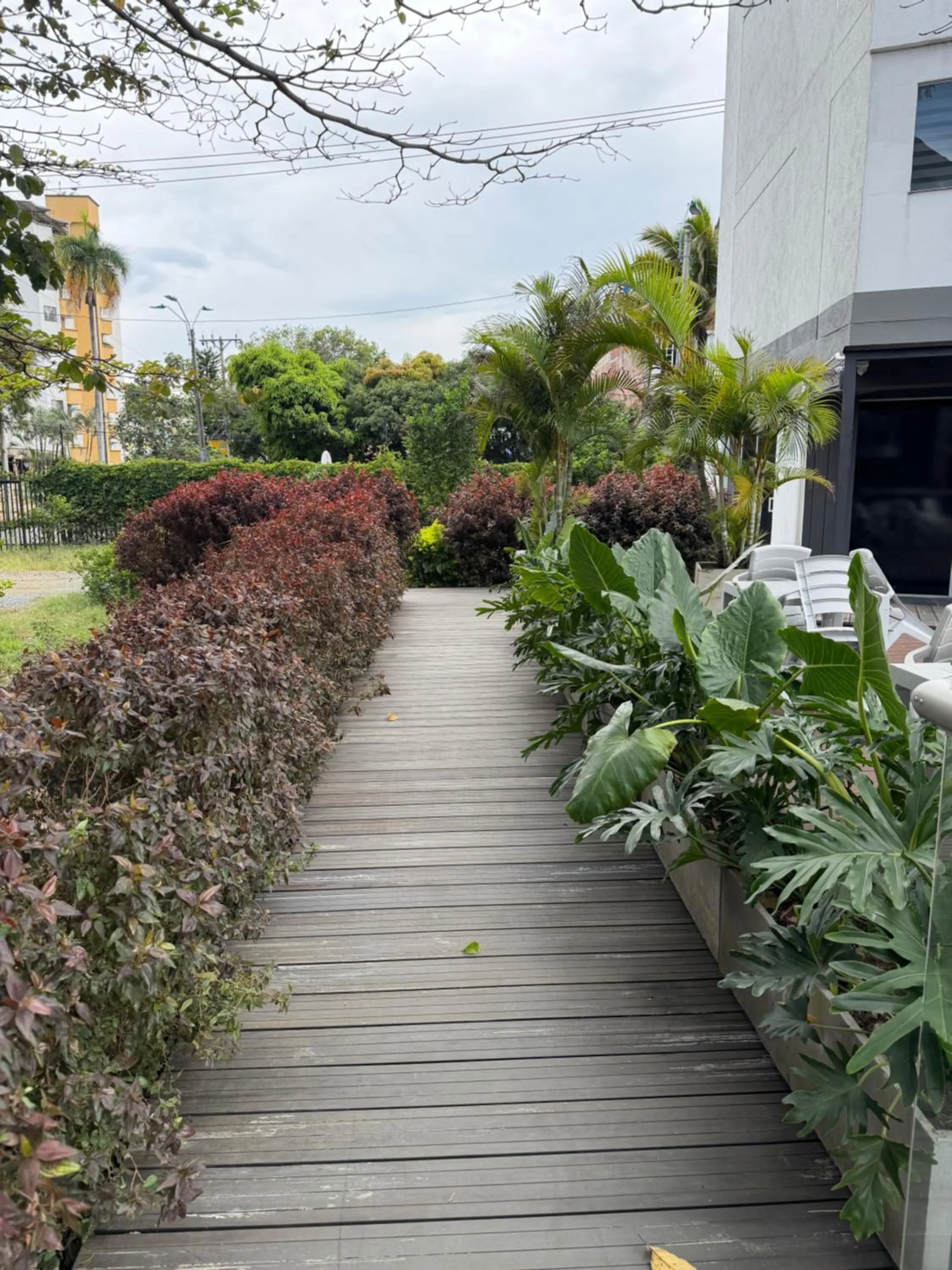 Garden view in Hotel Blue 66