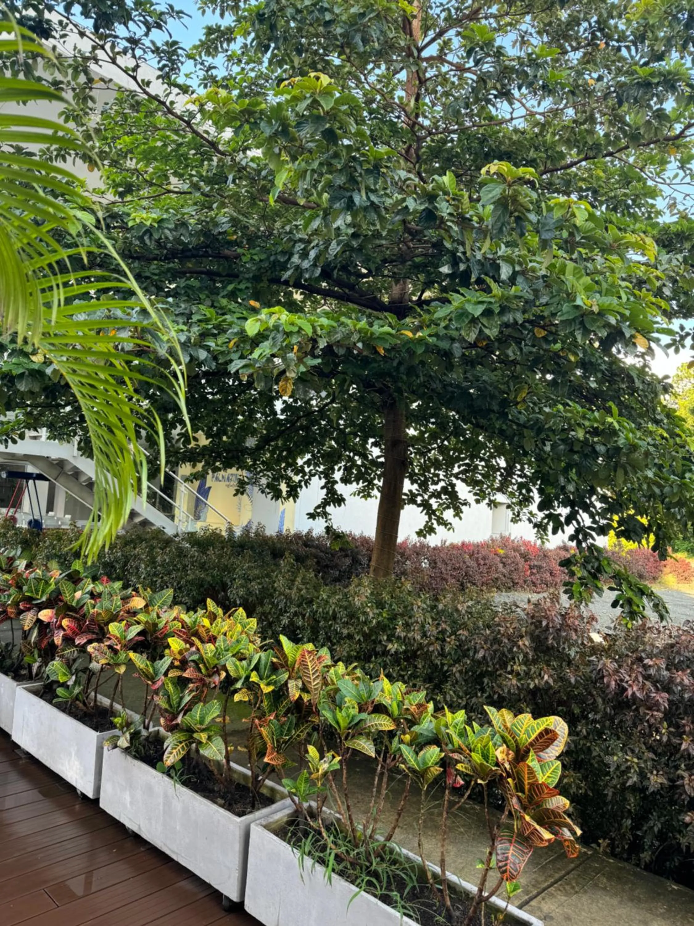 Garden in Hotel Blue 66