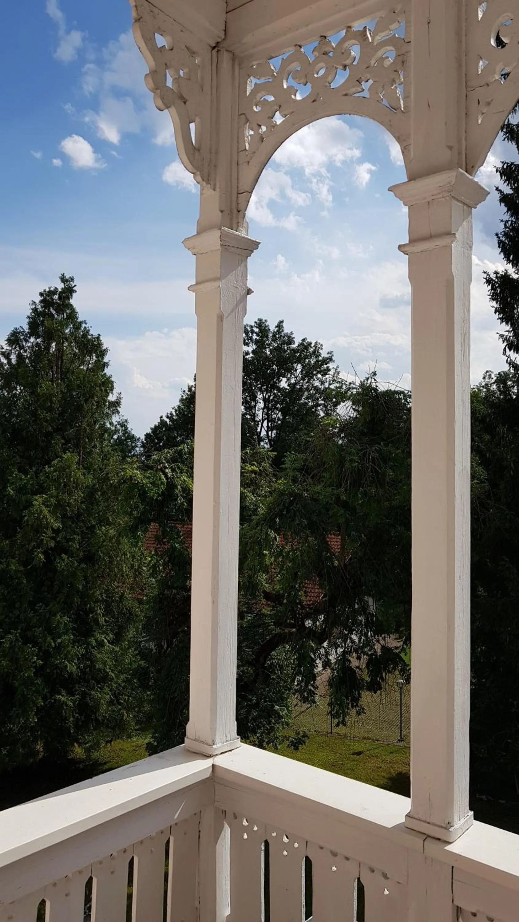 Balcony/Terrace in Hotel Villa Sisi