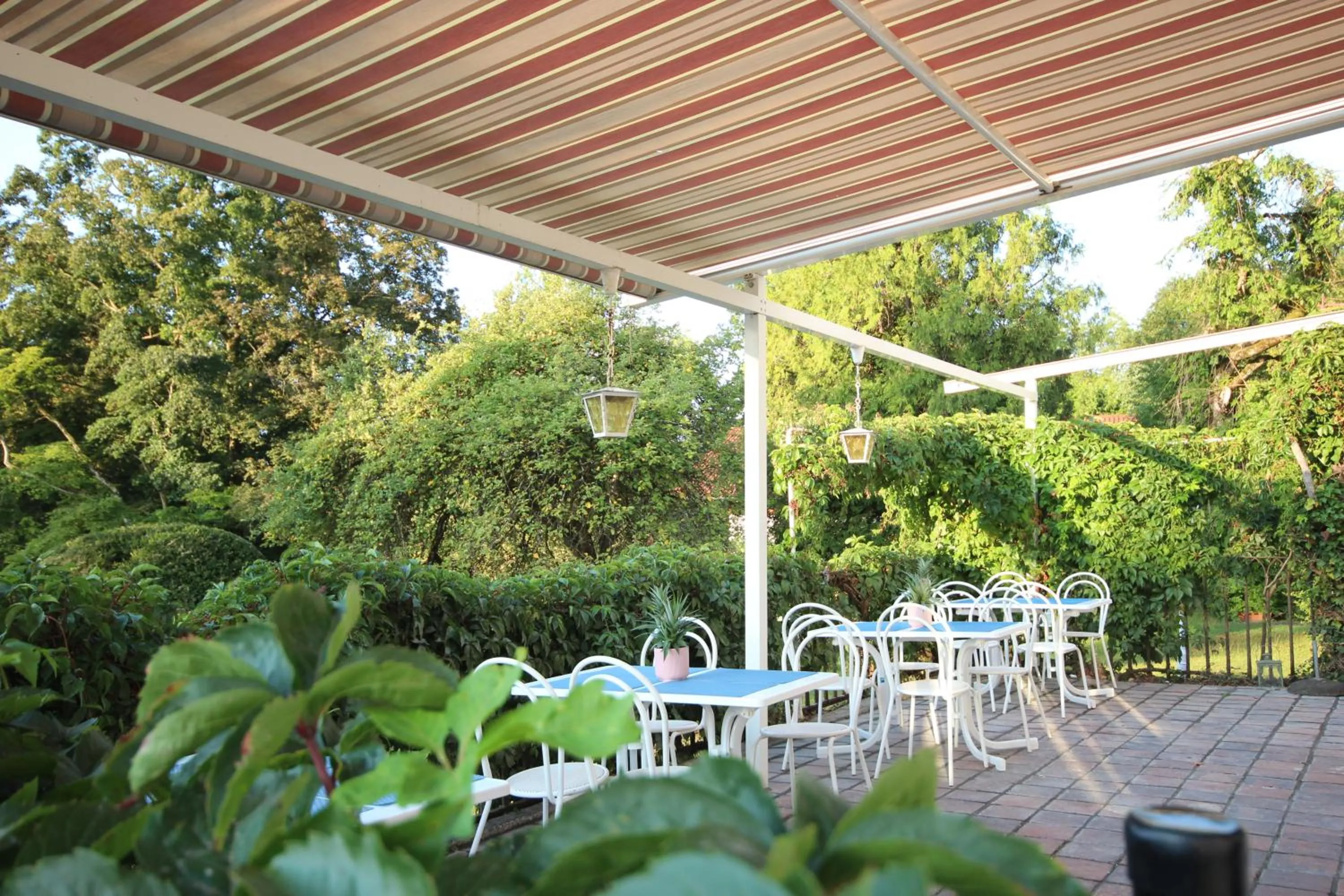 Balcony/Terrace in Hotel Villa Sisi
