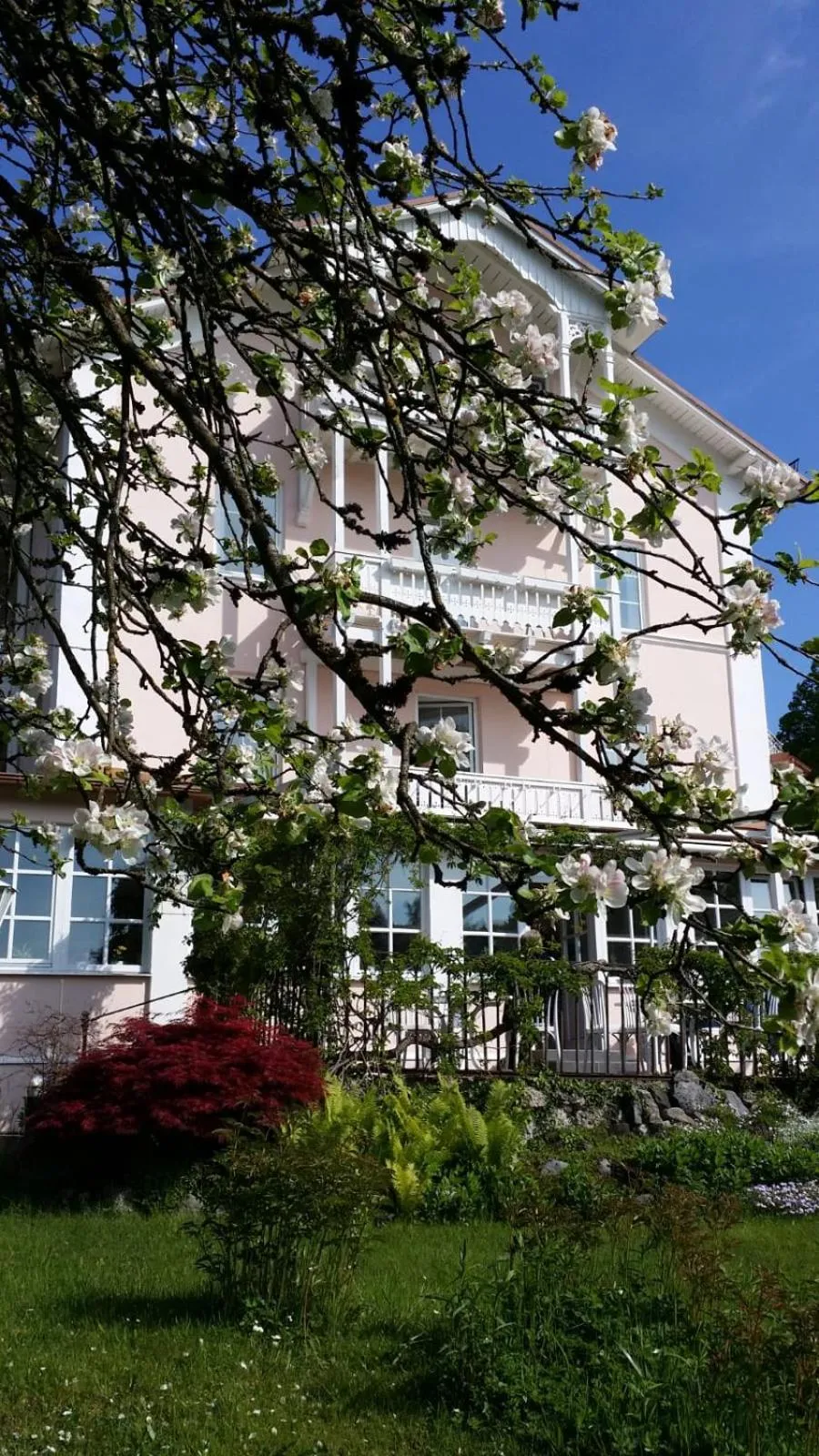 Property building in Hotel Villa Sisi