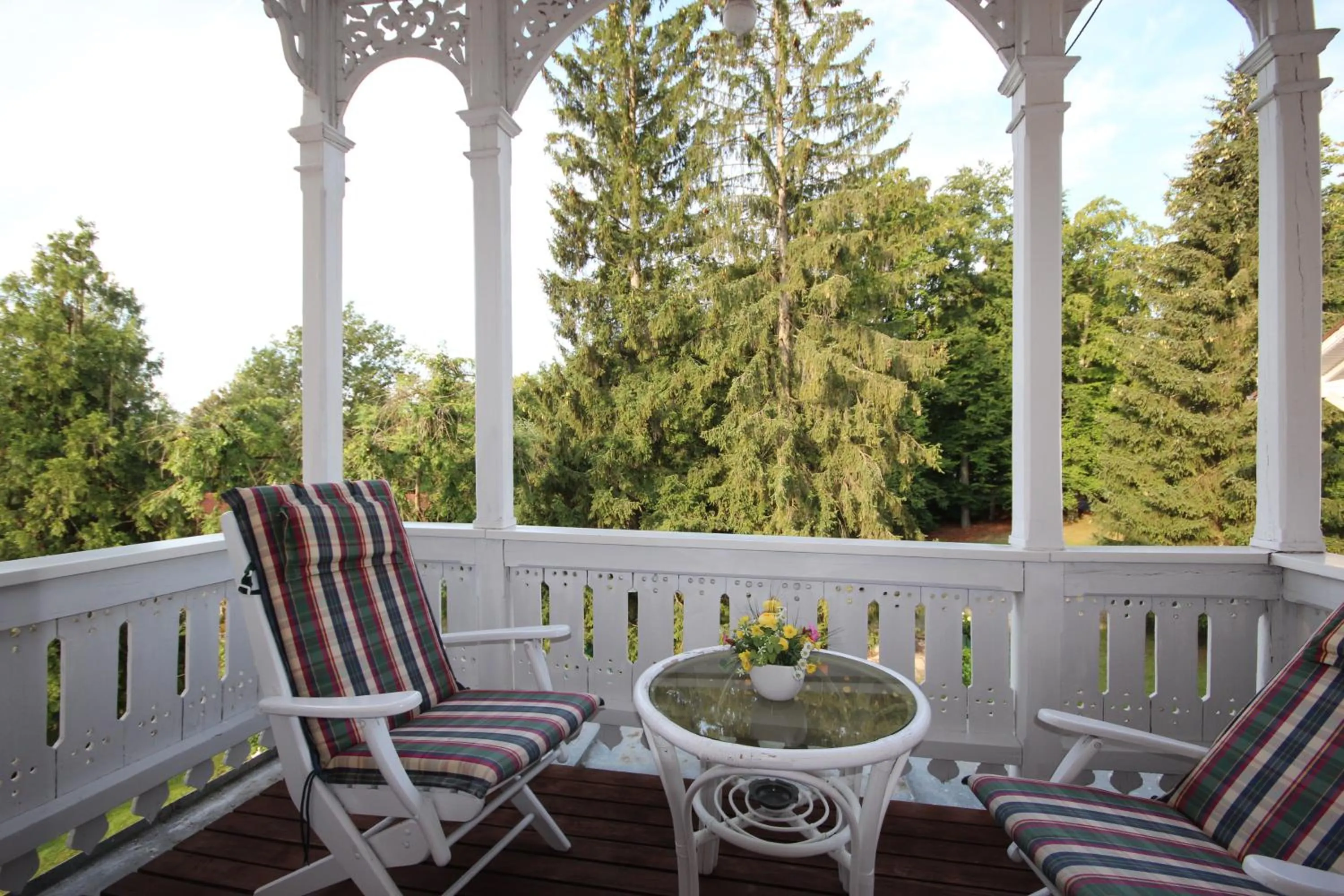 Balcony/Terrace in Hotel Villa Sisi
