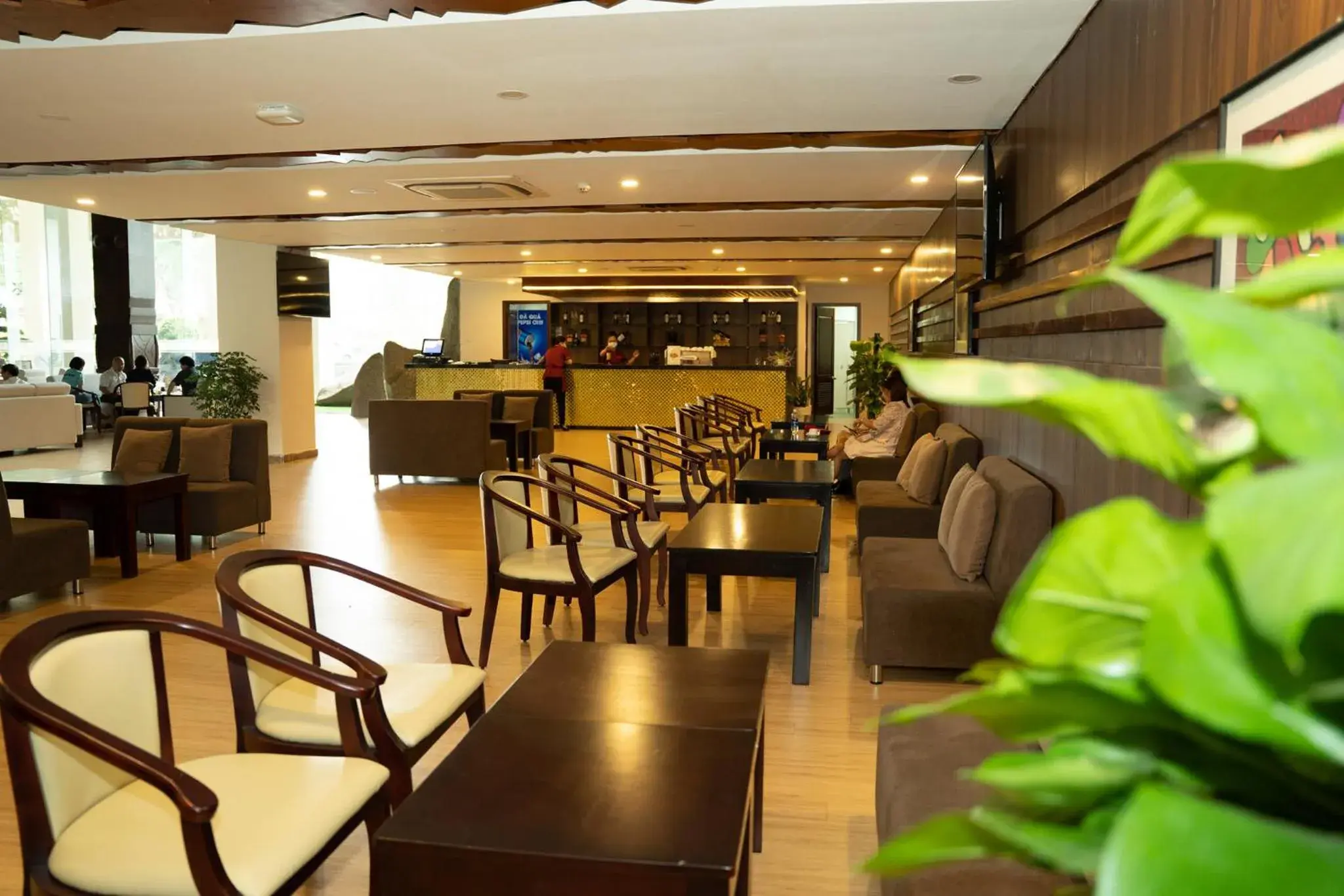 Lounge or bar in Elephants Hotel Lounge or bar in Elephants Hotel