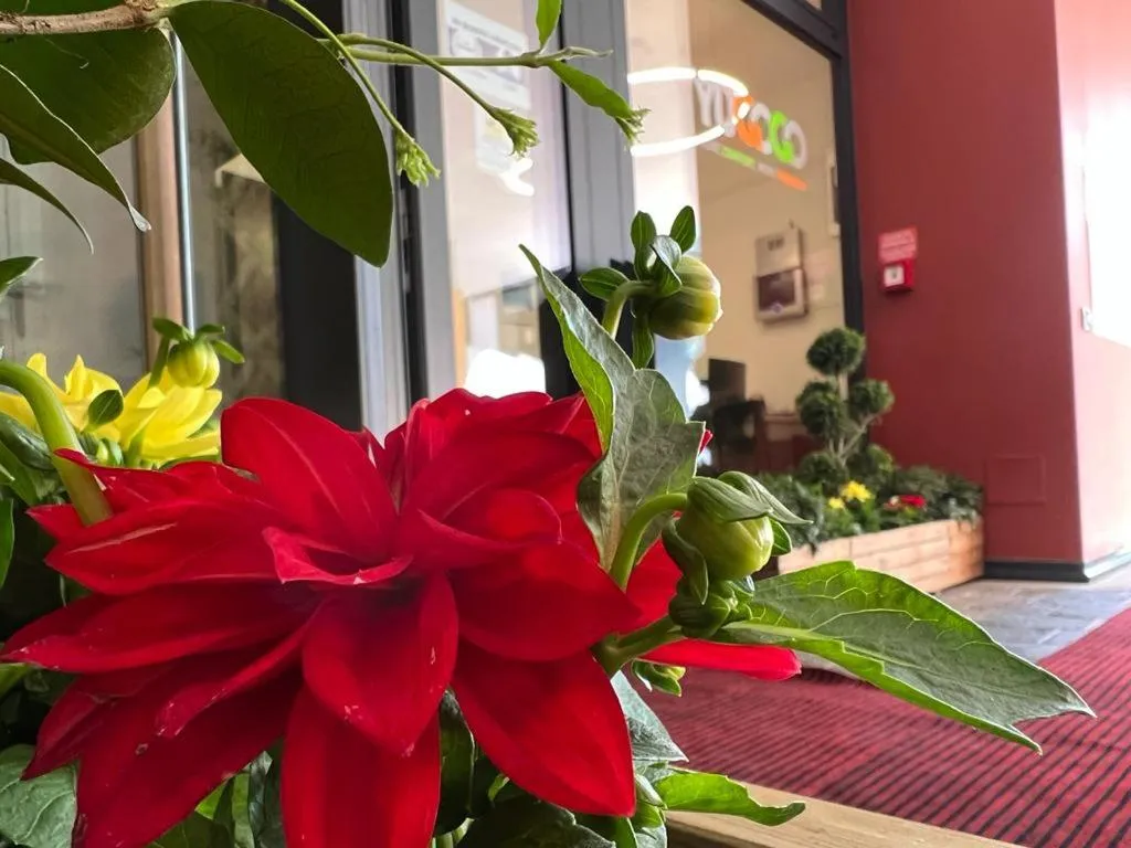 Facade/entrance in YUGOGO PELLICO 8 Trento Centro