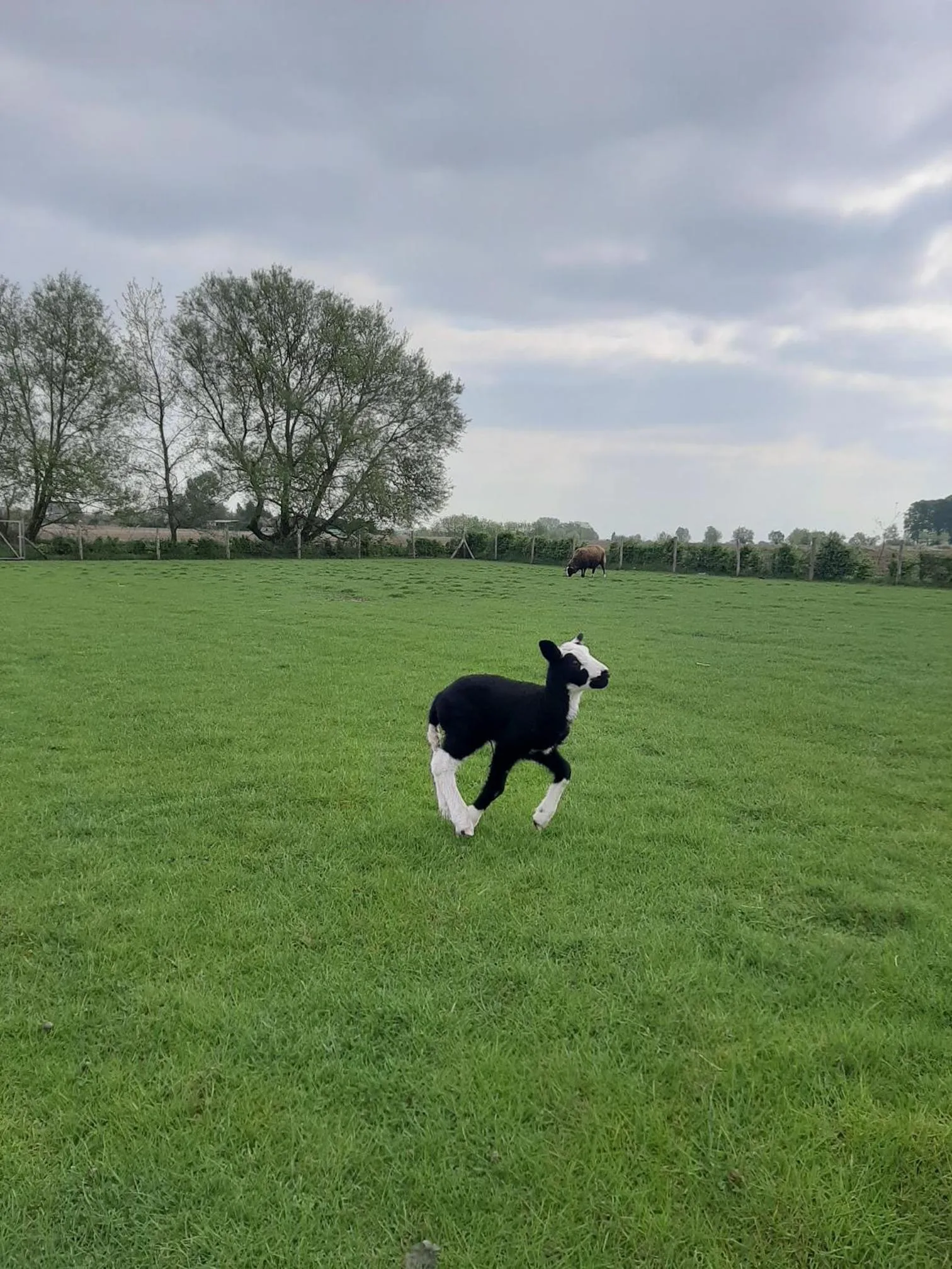 Garden in B & B Victors Hof, met zwemvijver in landelijke setting