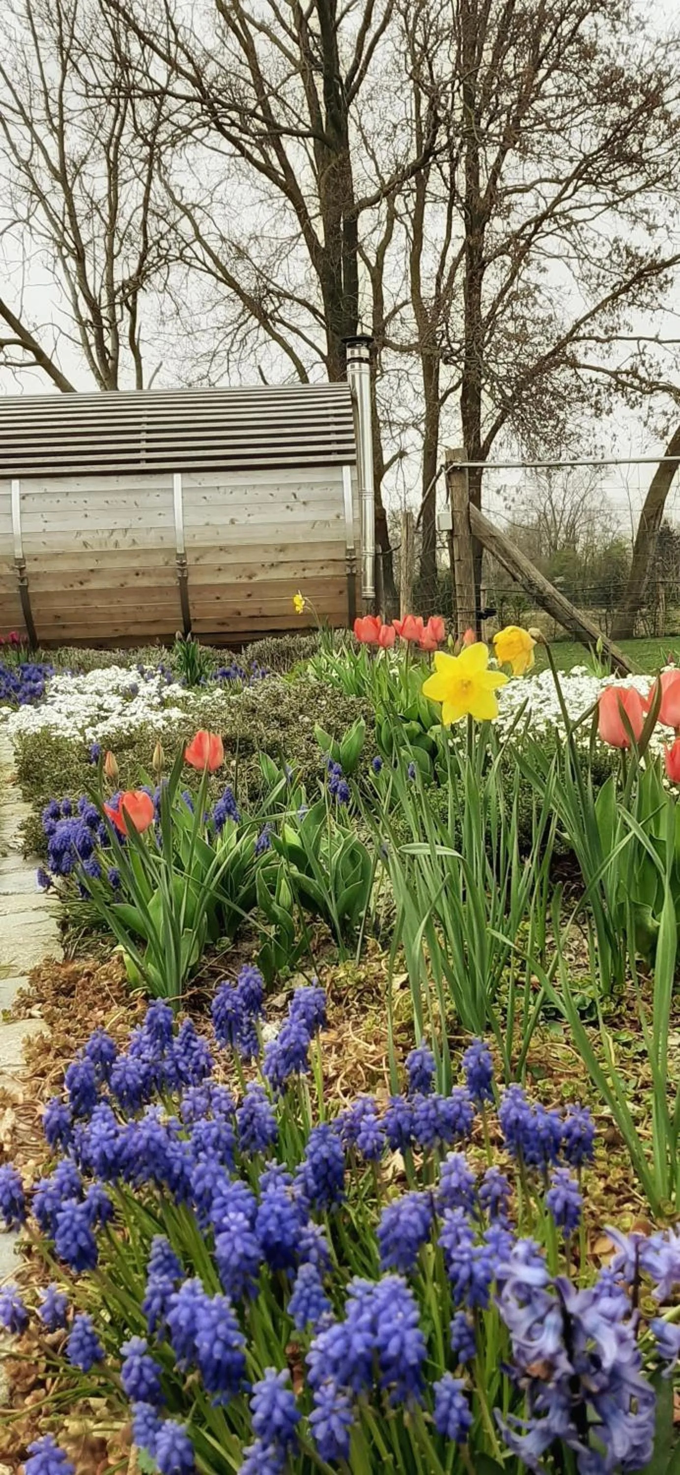 Garden in B & B Victors Hof, met zwemvijver in landelijke setting