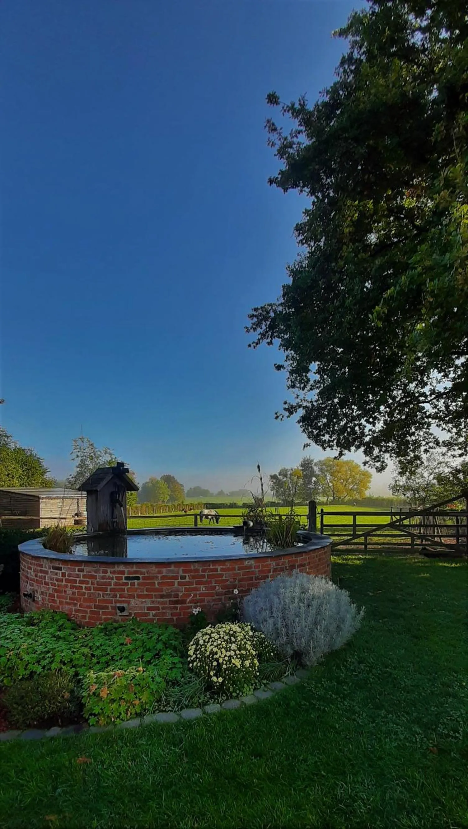 Natural landscape in B & B Victors Hof, met zwemvijver in landelijke setting
