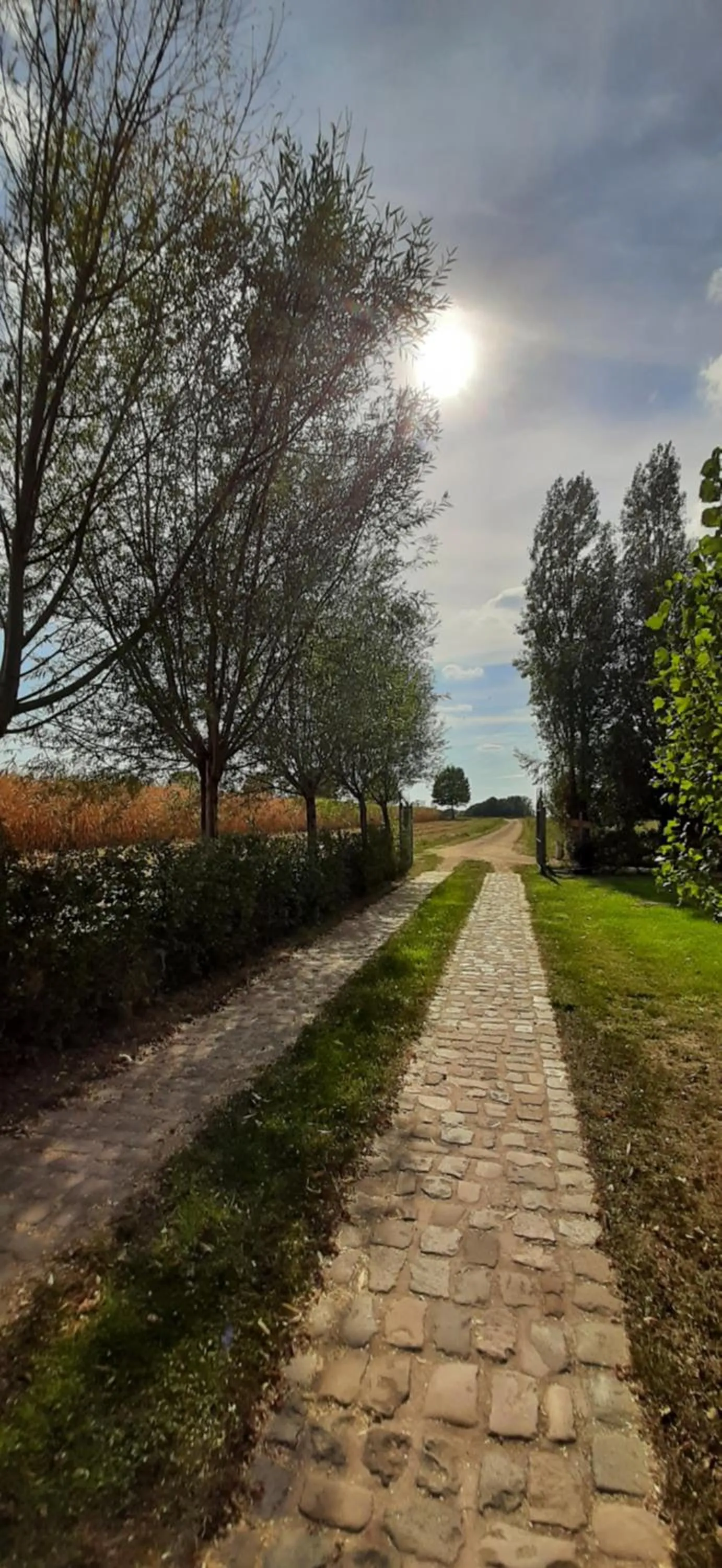 Natural landscape in B & B Victors Hof, met zwemvijver in landelijke setting