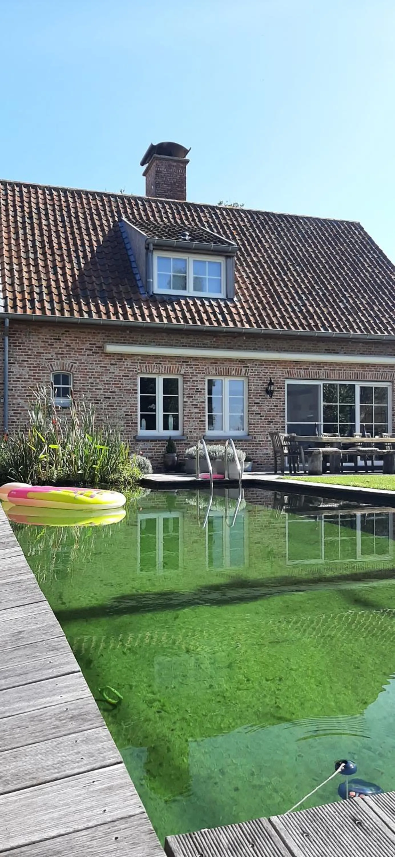 Swimming pool in B & B Victors Hof, met zwemvijver en leuke diertjes