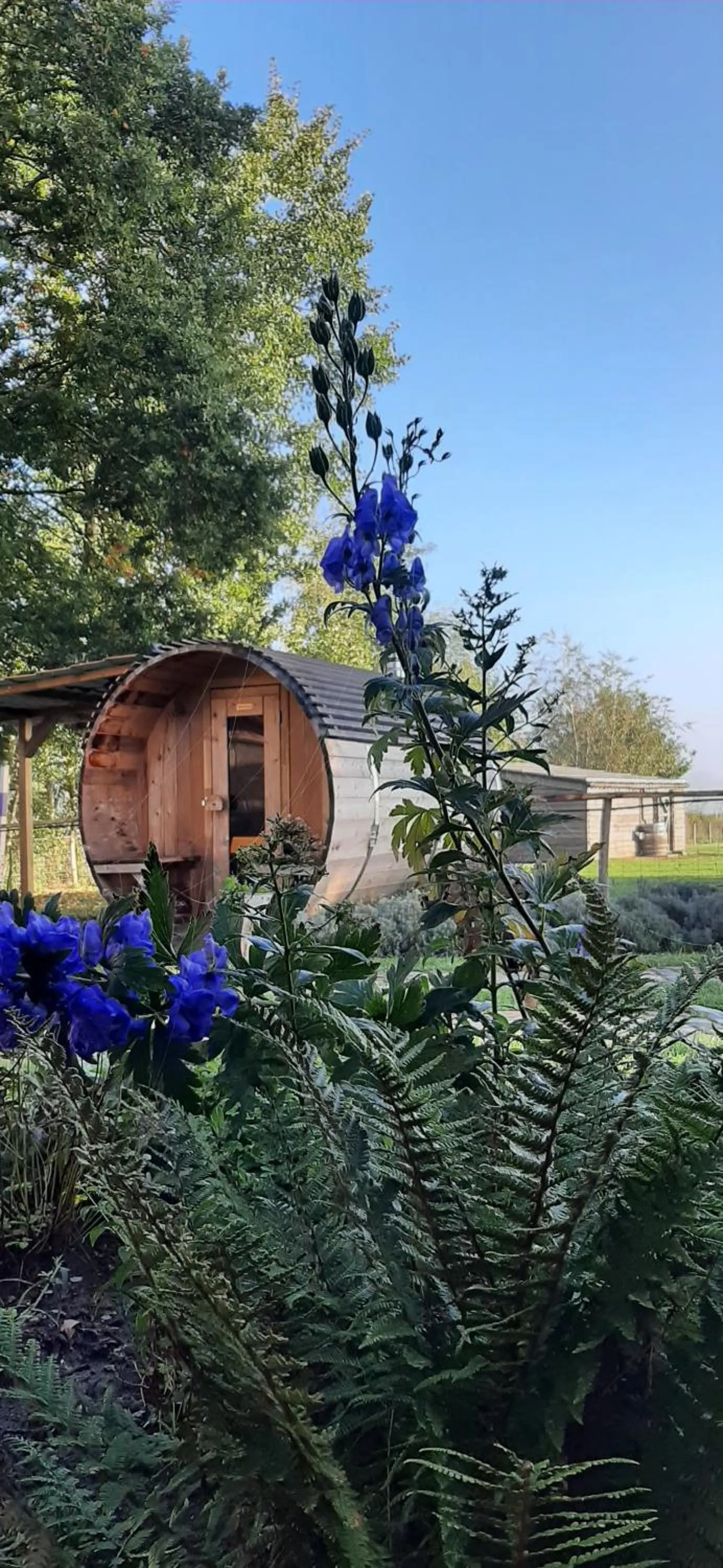 Garden in B & B Victors Hof, met zwemvijver in landelijke setting