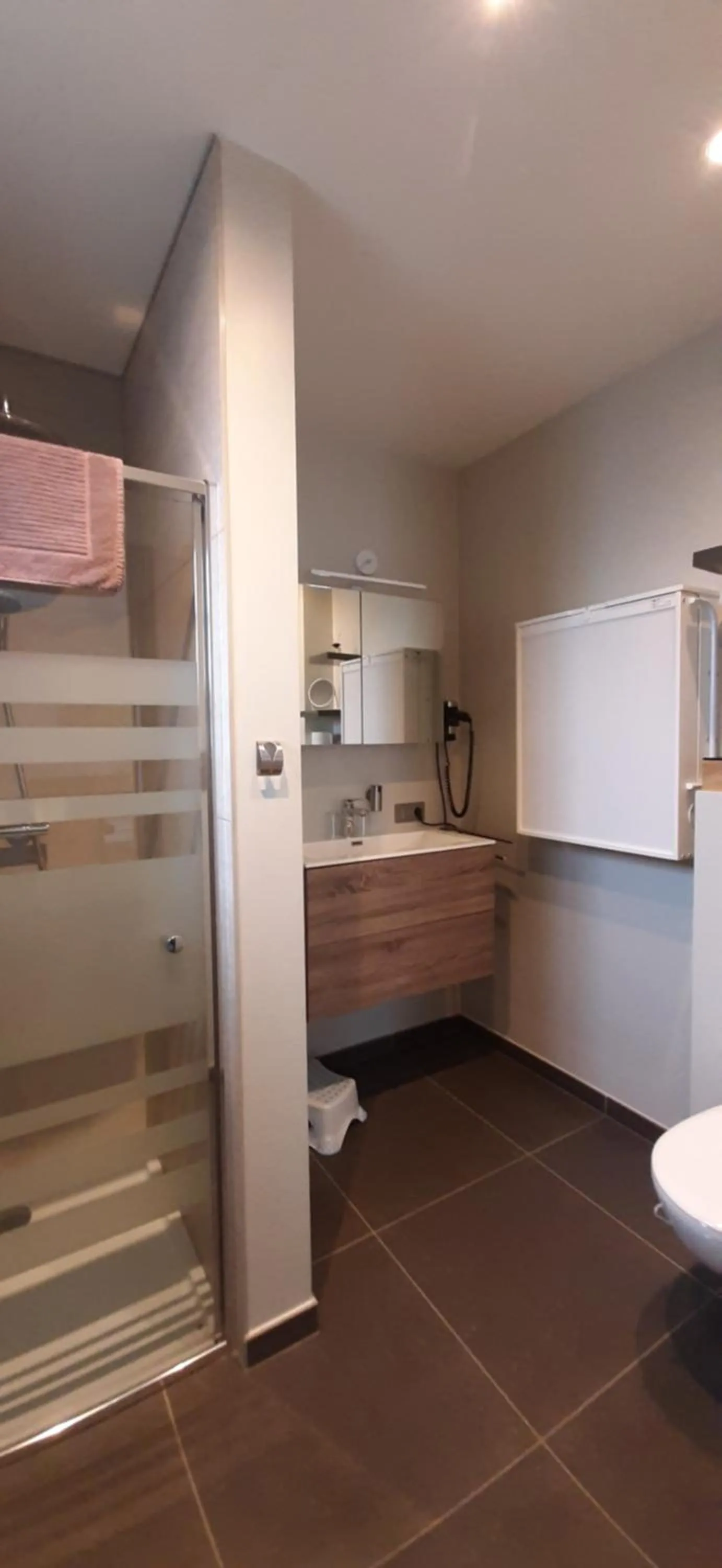 Bathroom in B & B Victors Hof, met zwemvijver in landelijke setting