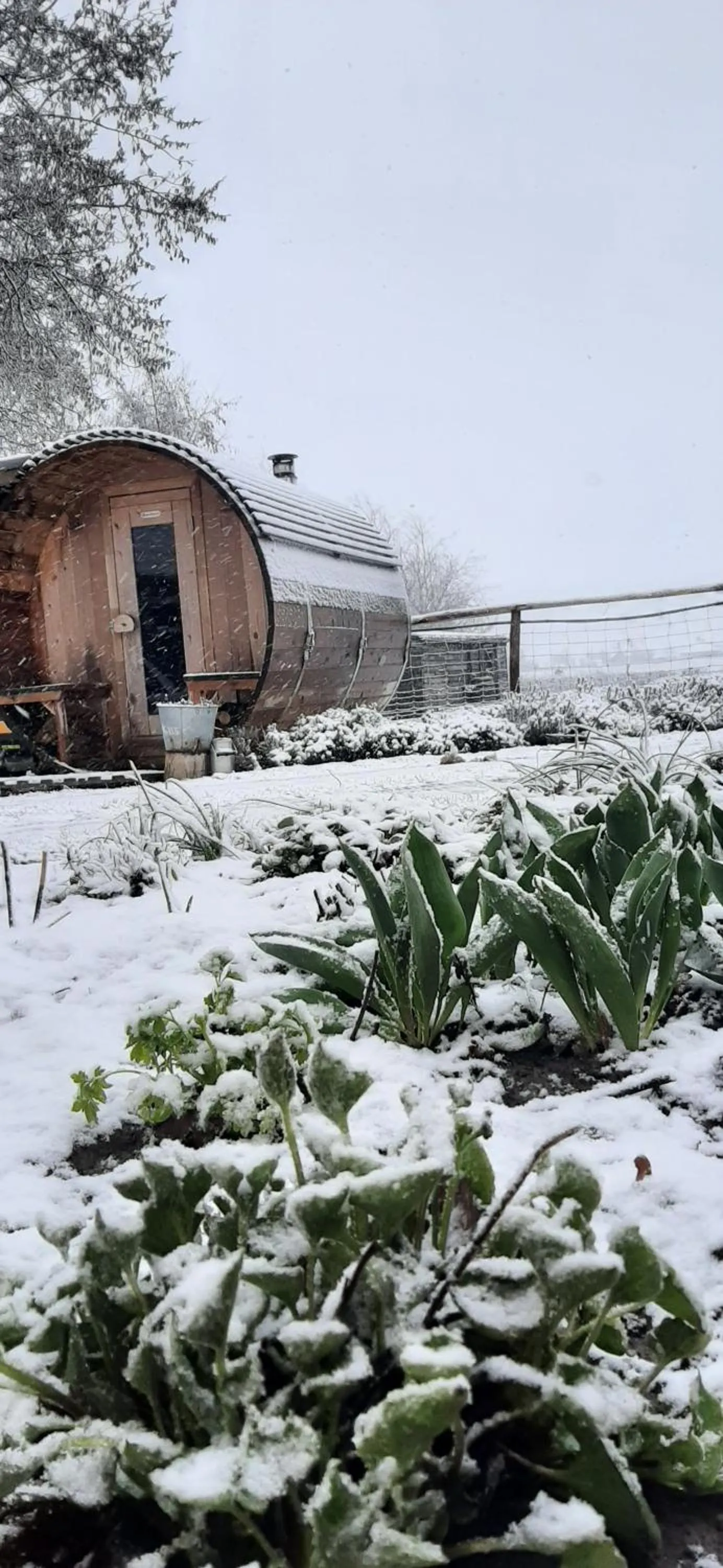 Property building in B & B Victors Hof, met zwemvijver en leuke diertjes