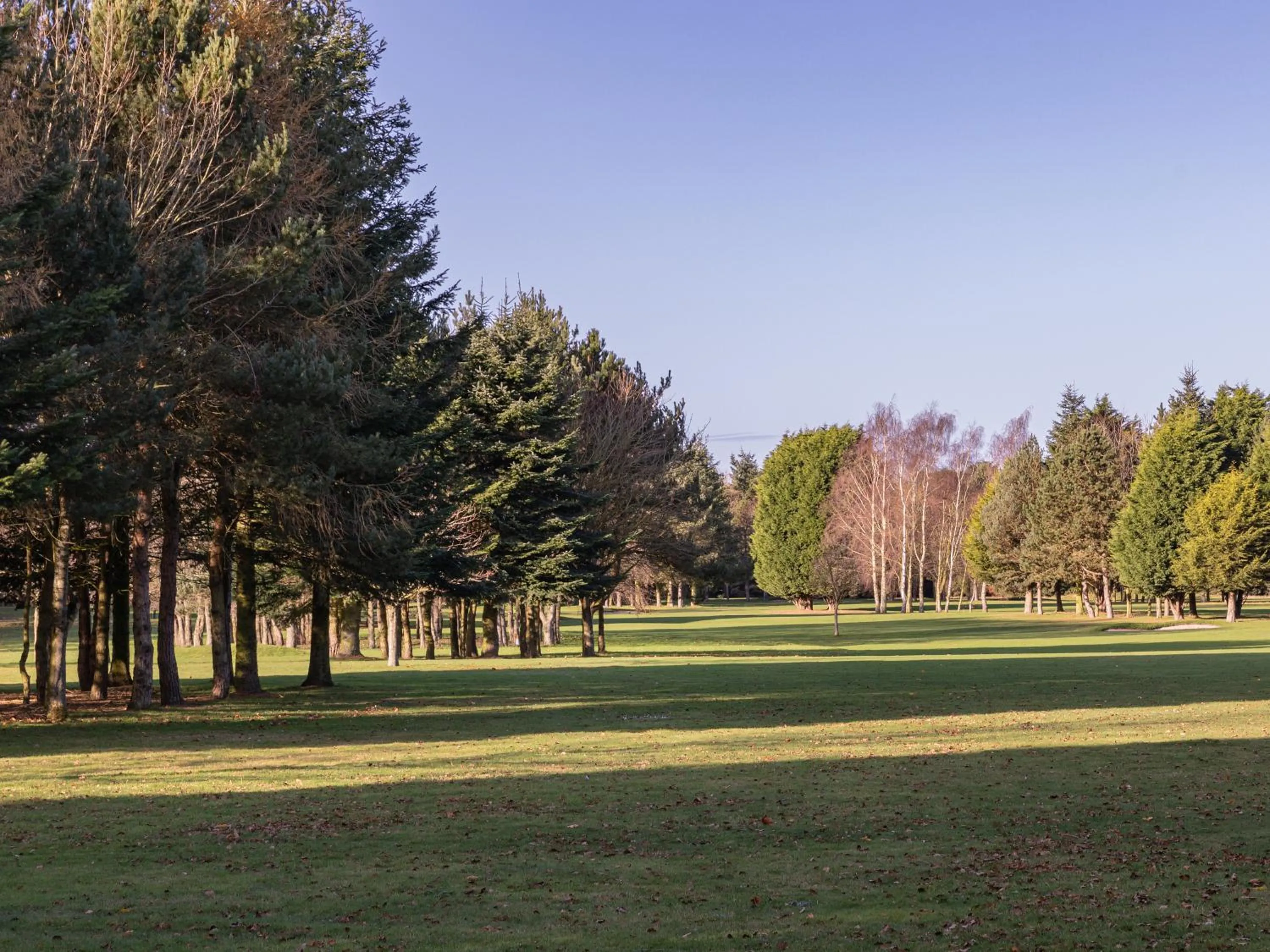 Natural landscape in JJs Lodge Lakewood