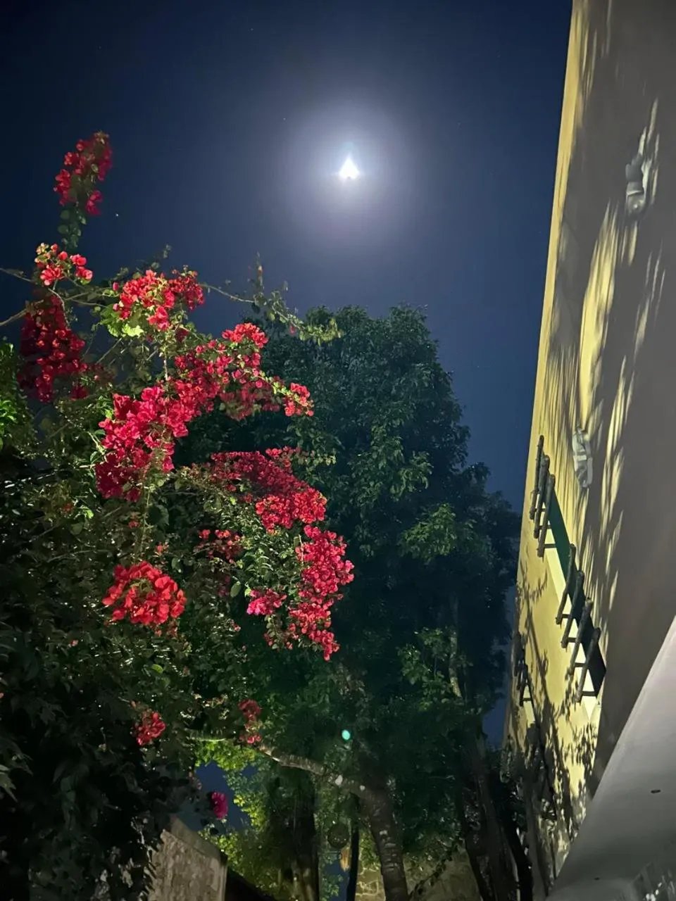 Swimming pool in Hotel Itza Coba