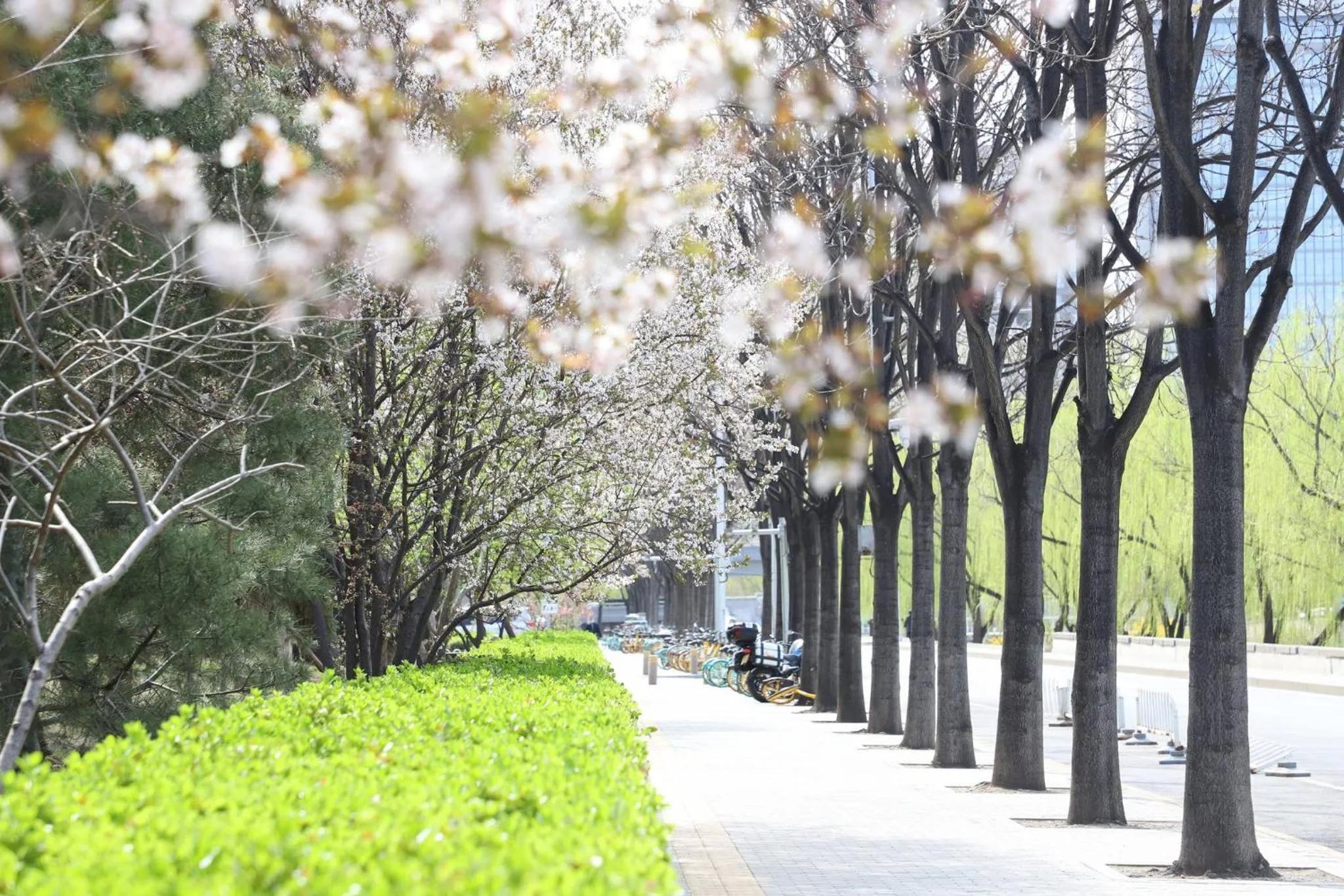 Other in Crowne Plaza Beijing Sun Palace, an IHG Hotel