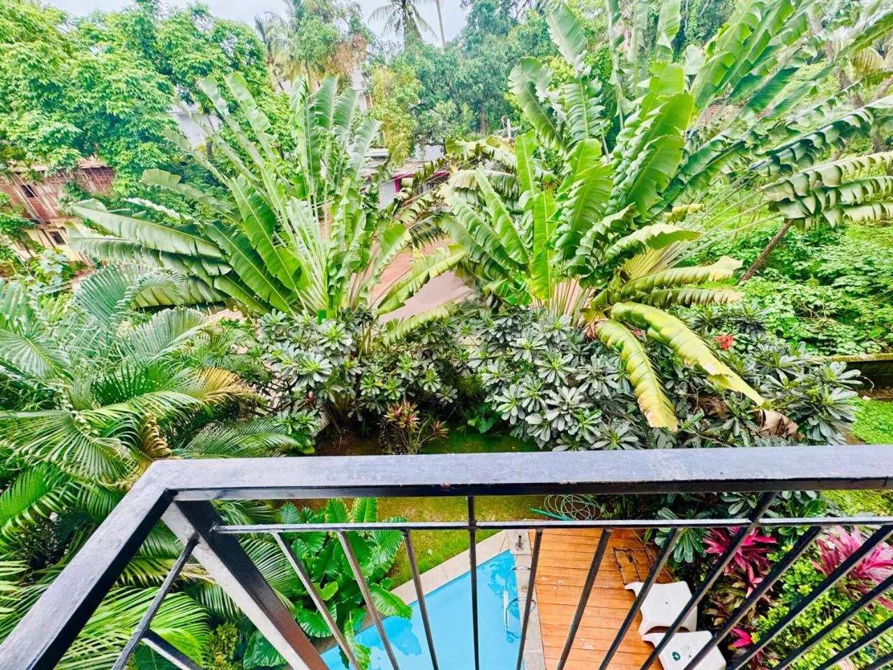 Garden view in HALF Hotel, Calangute