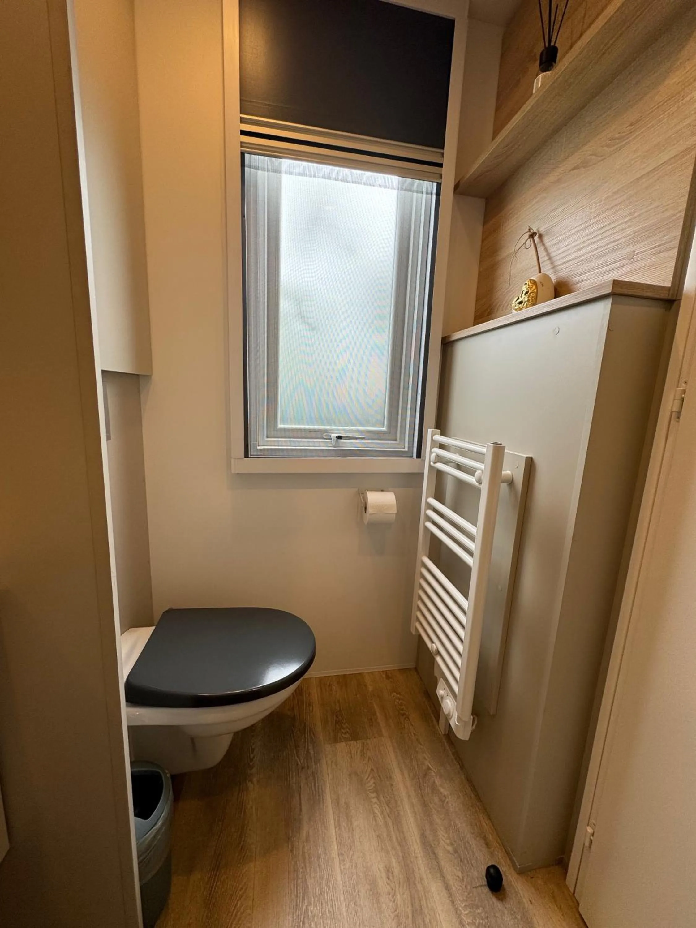Toilet in Palazzo delle Biscie - Old Tower & Village