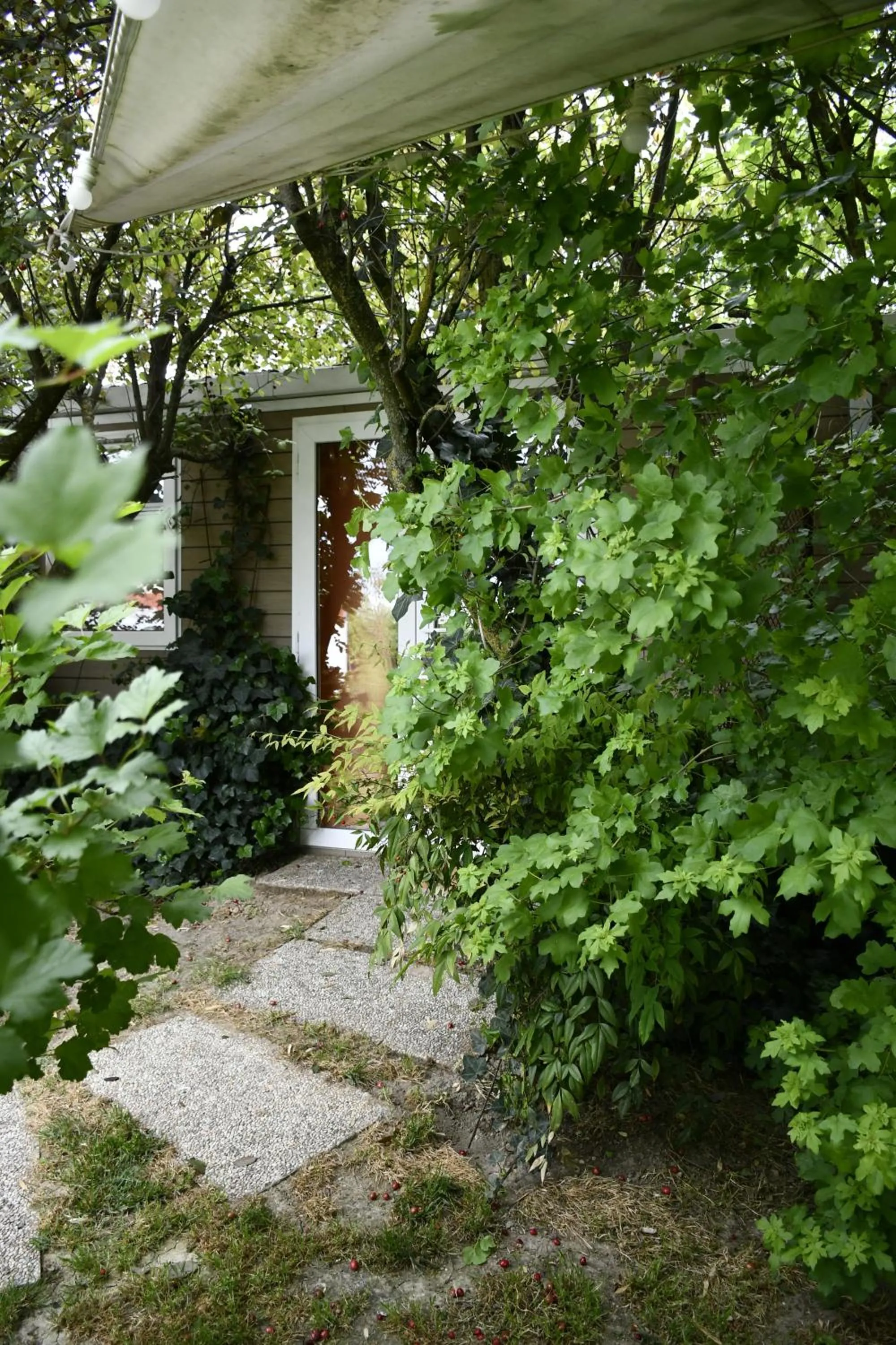 Property building in Palazzo delle Biscie - Old Tower & Village