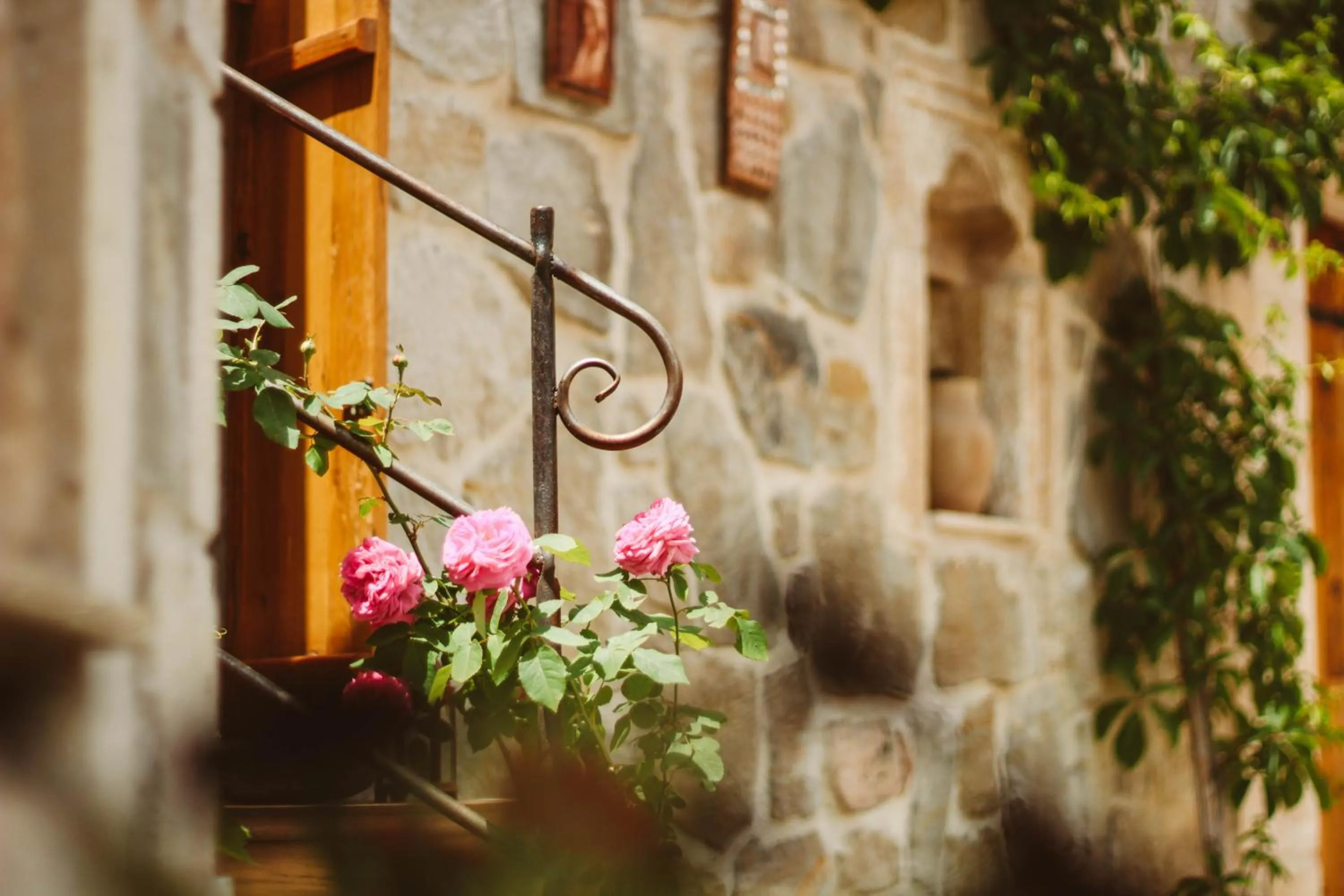 Spring in Doda Artisanal Cave Hotel 14 Plus