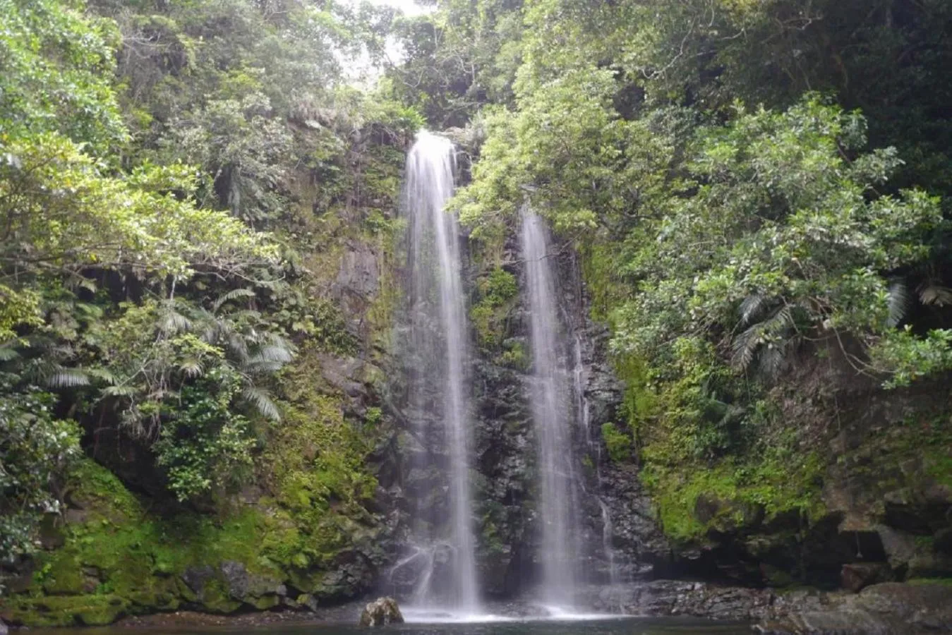 Natural landscape in villa PILINA