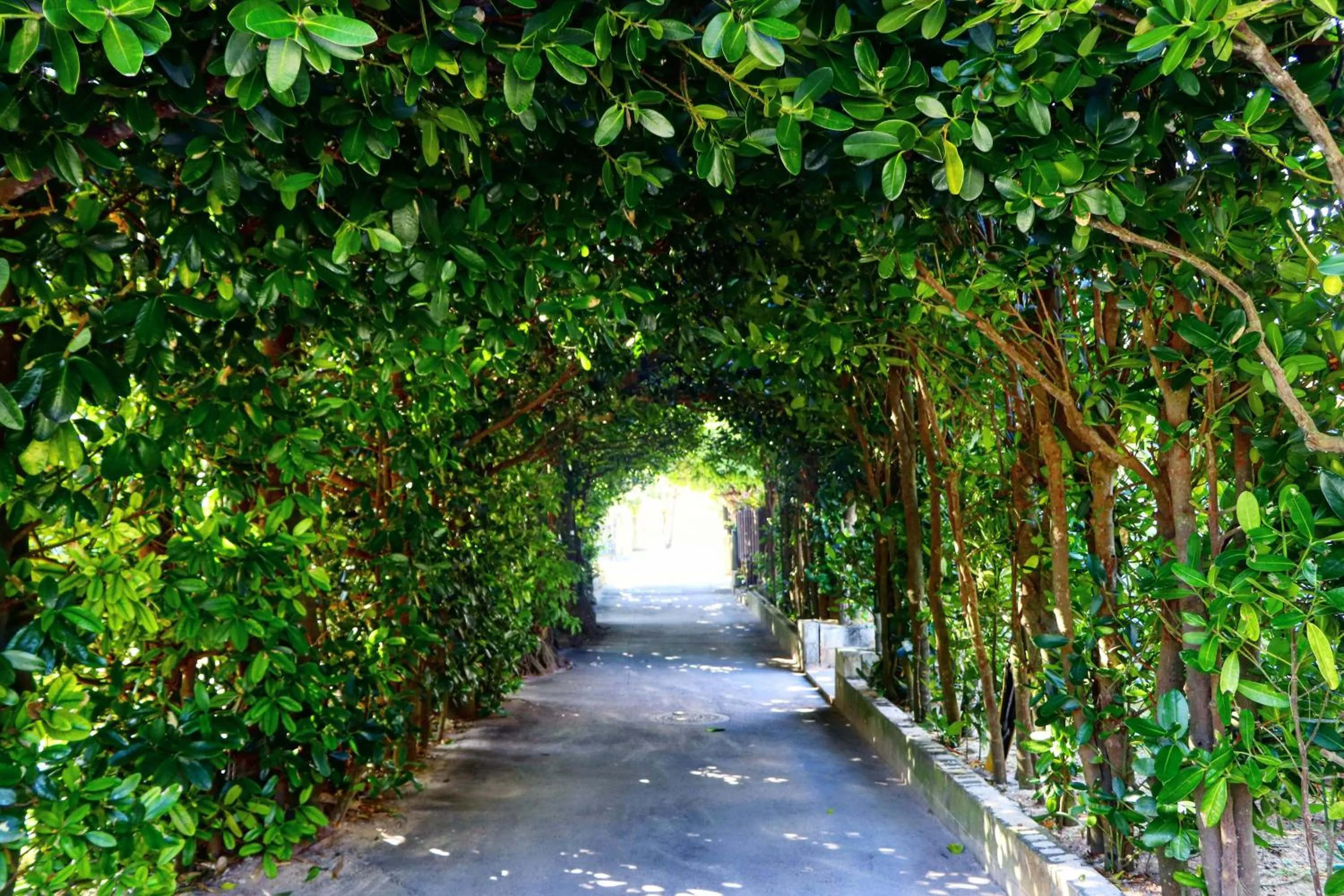 Nearby landmark in villa PILINA