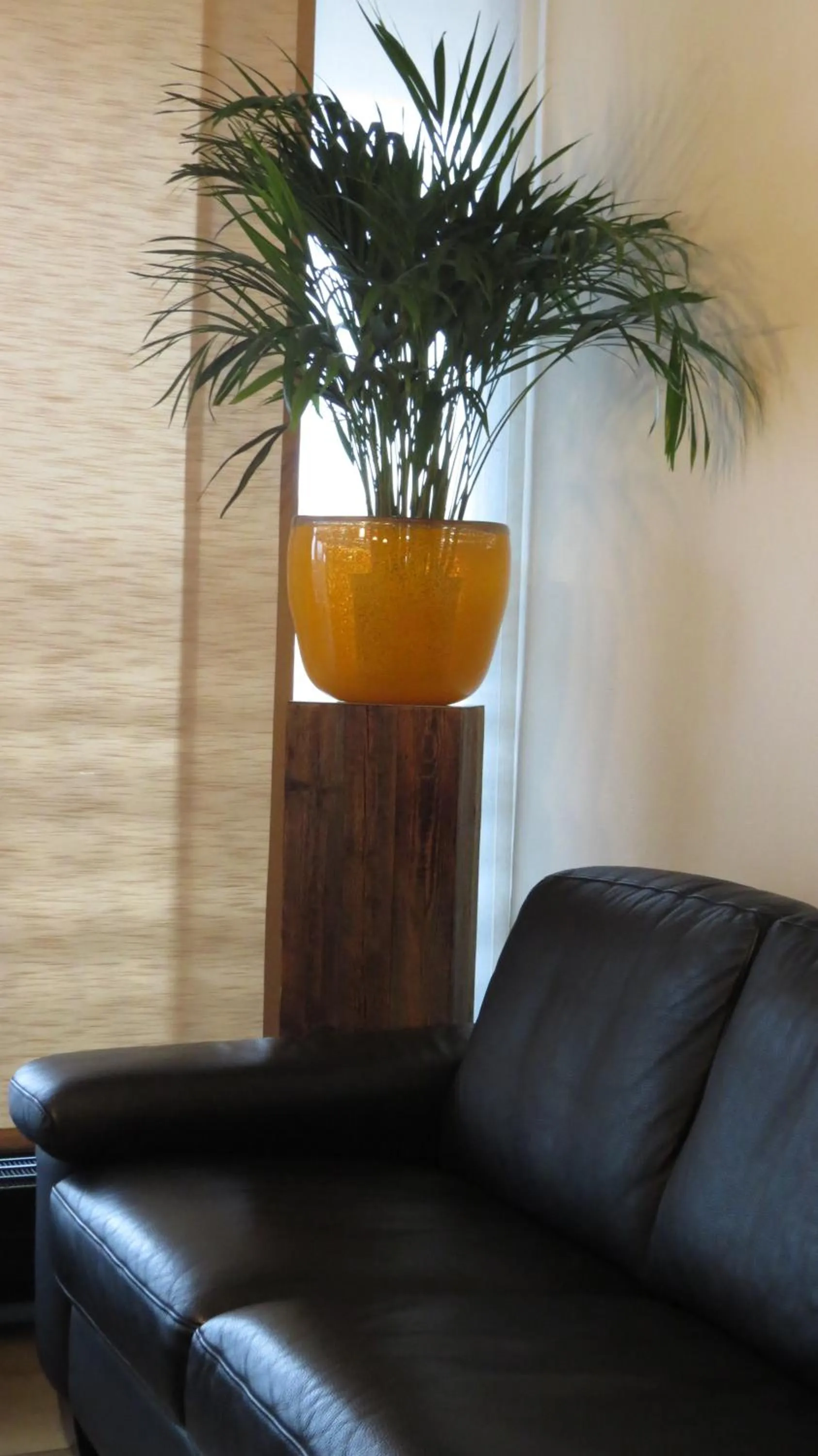 Lobby or reception in Hotel Drei Morgen