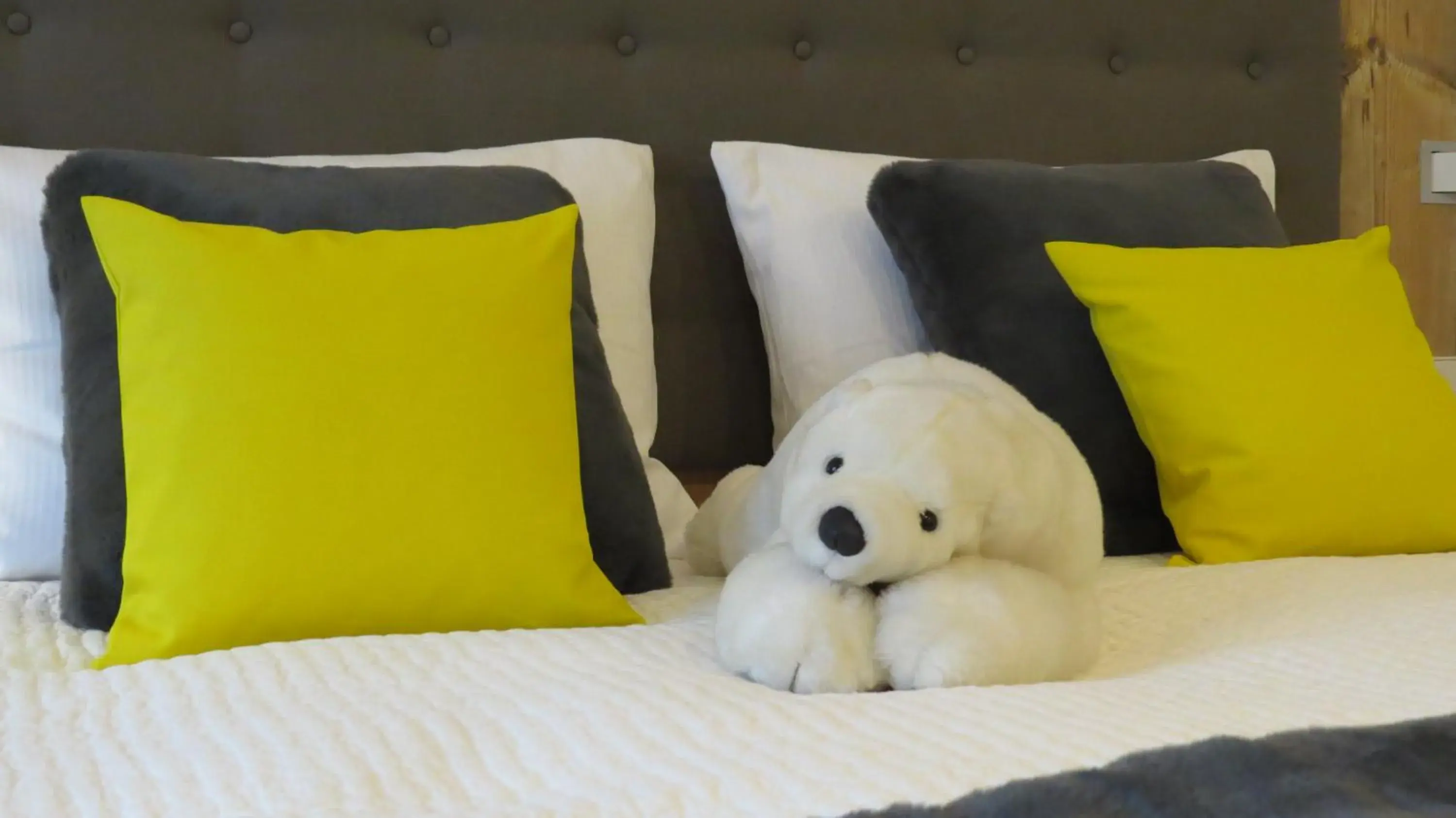 Double Room - single occupancy in Hotel Drei Morgen Double Room - single occupancy in Hotel Drei Morgen