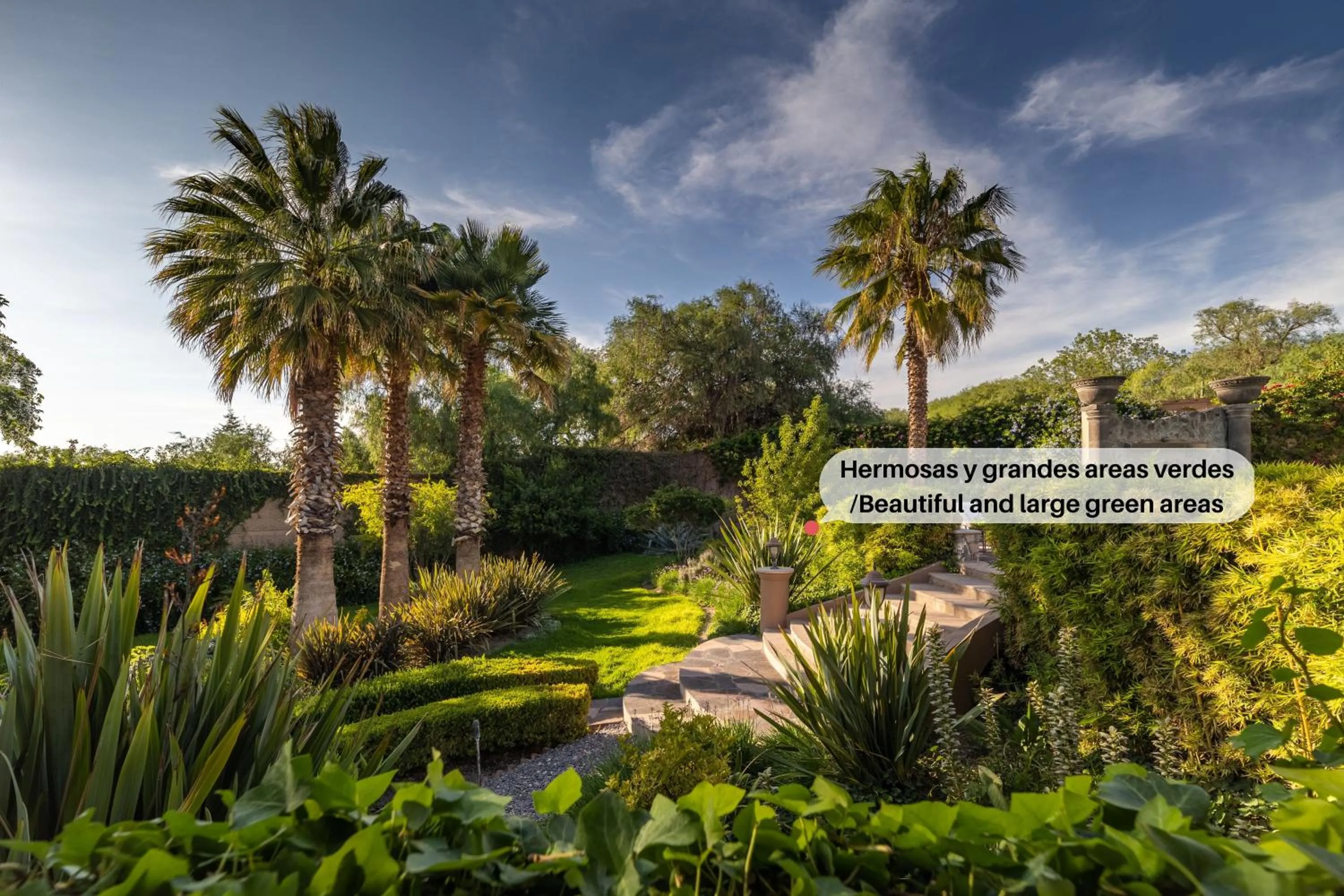 Garden view in Casa Las Palmas, San Miguel de Allende