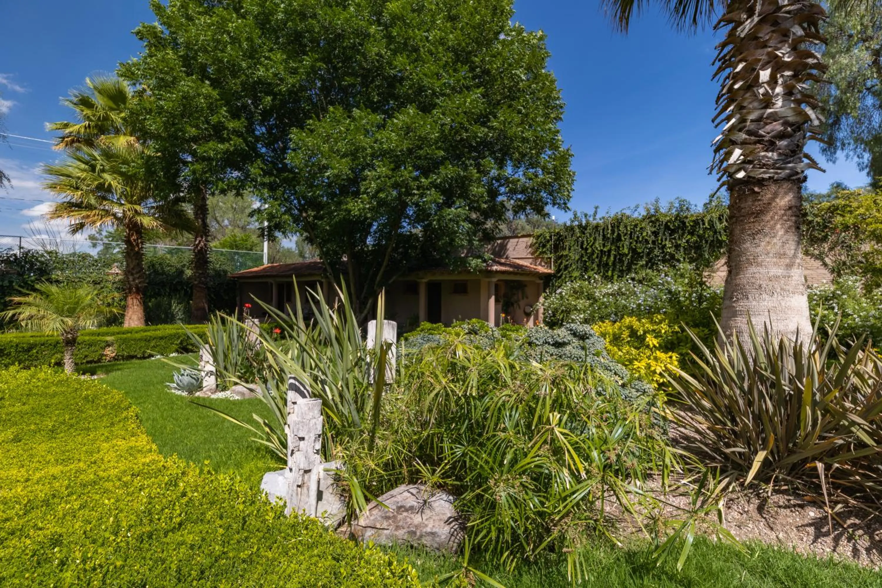 Natural landscape in Casa Las Palmas, San Miguel de Allende