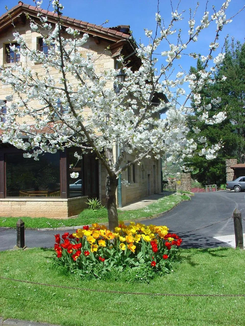 Area and facilities in Haras Aritza