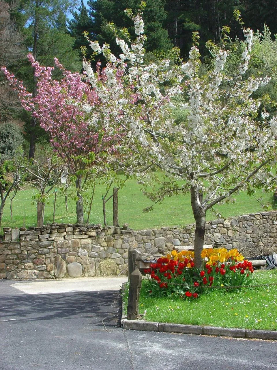 Spring in Haras Aritza