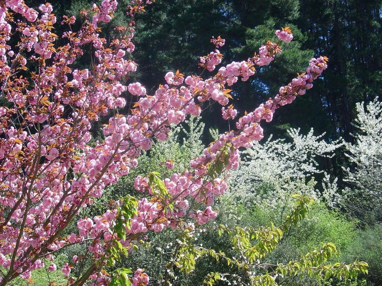 Area and facilities in Haras Aritza